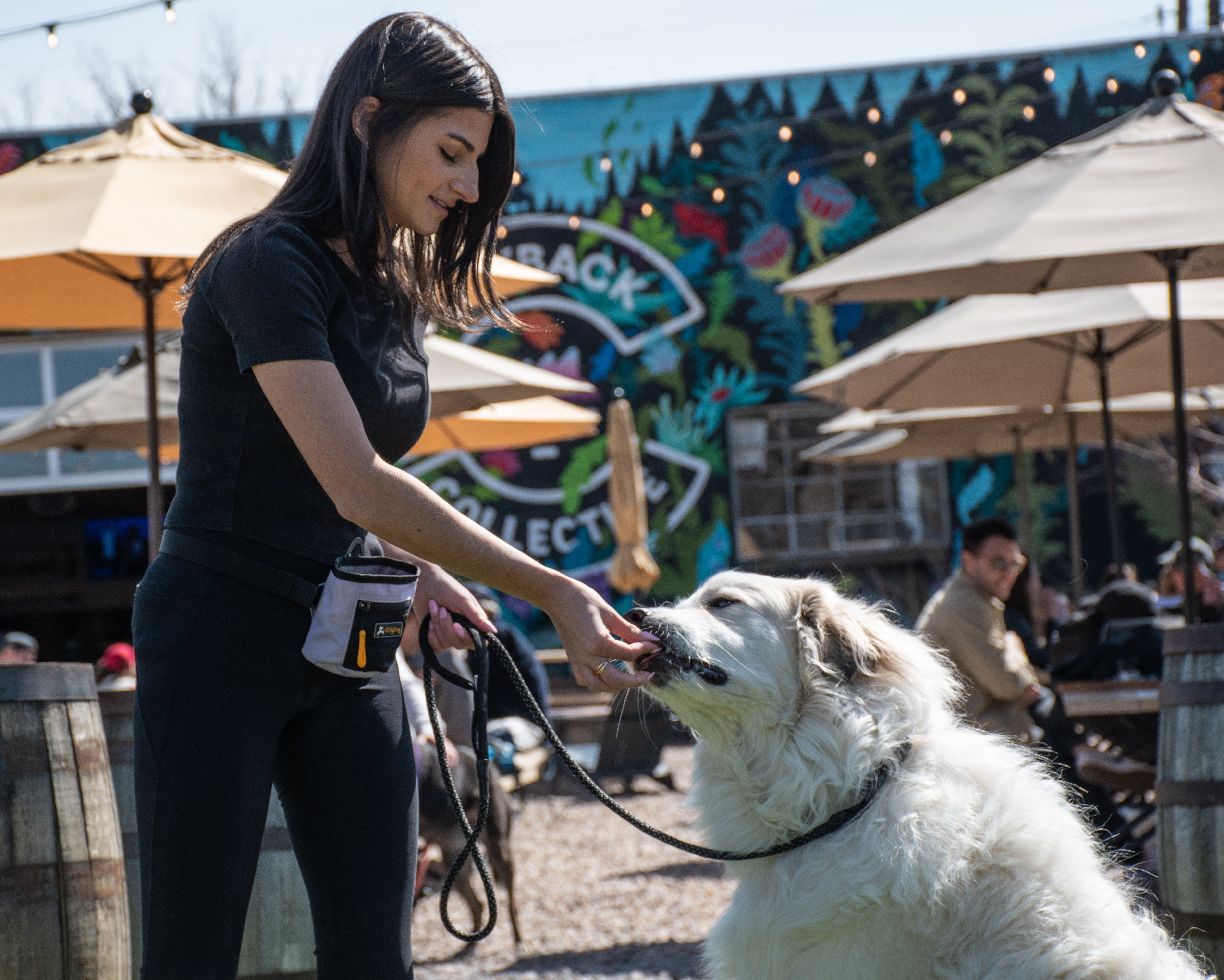 Five Instagram-Worthy Places to Take Your Dog in Colorado