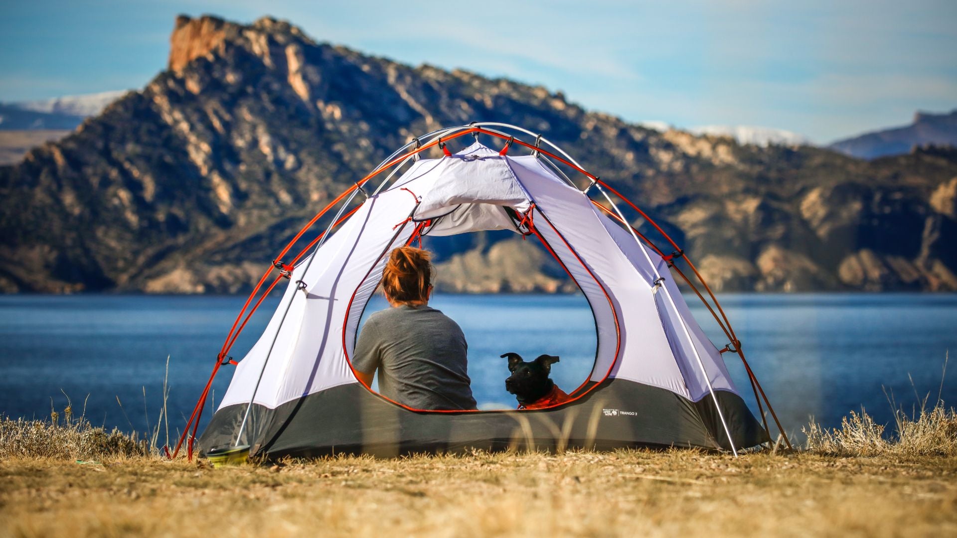 6 Dog Friendly National Parks You Can't Miss This Summer