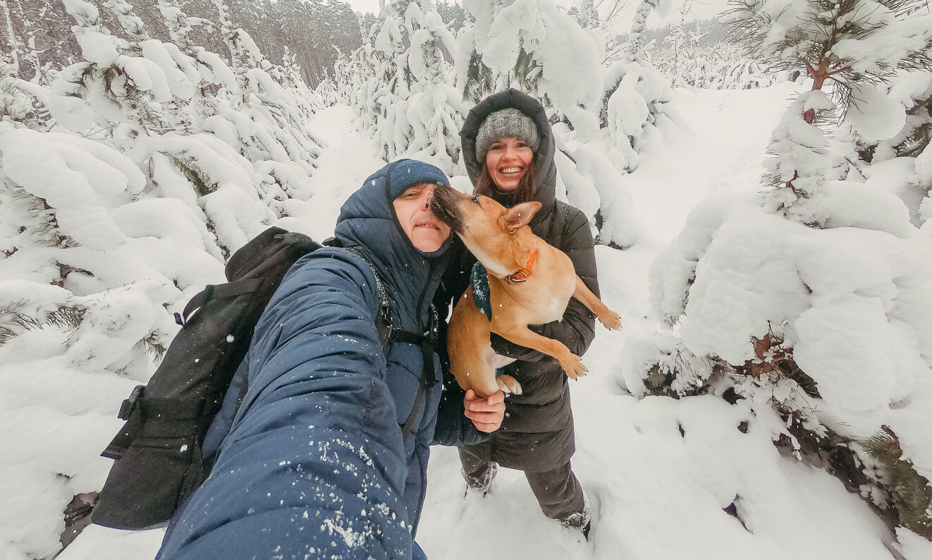 The Best Cold-Weather Dog Gear You Need This Winter