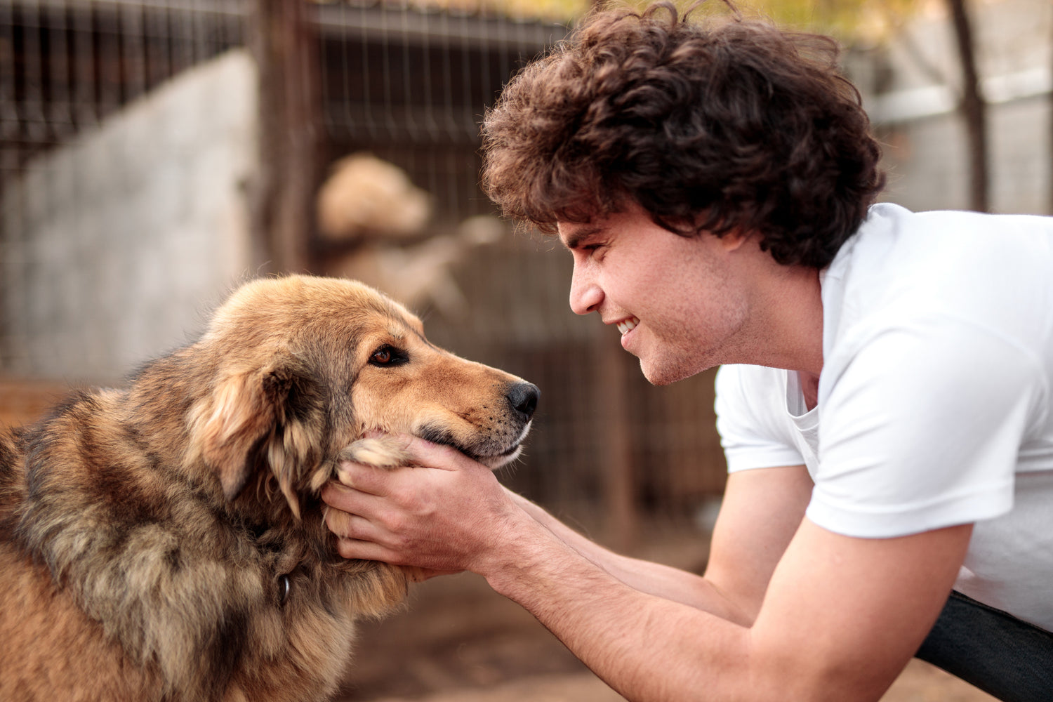 man with dog at shelter