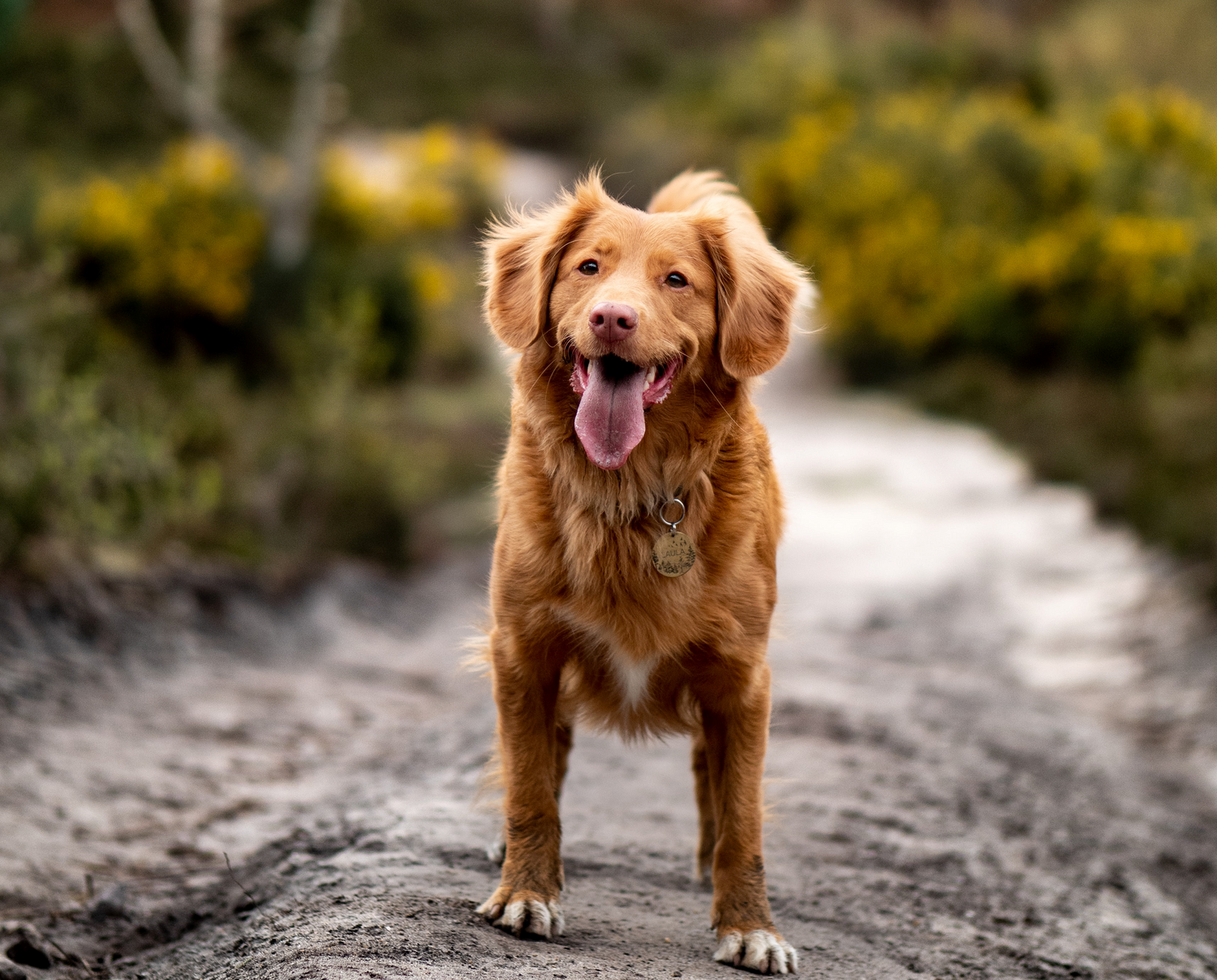 Protect our Playground