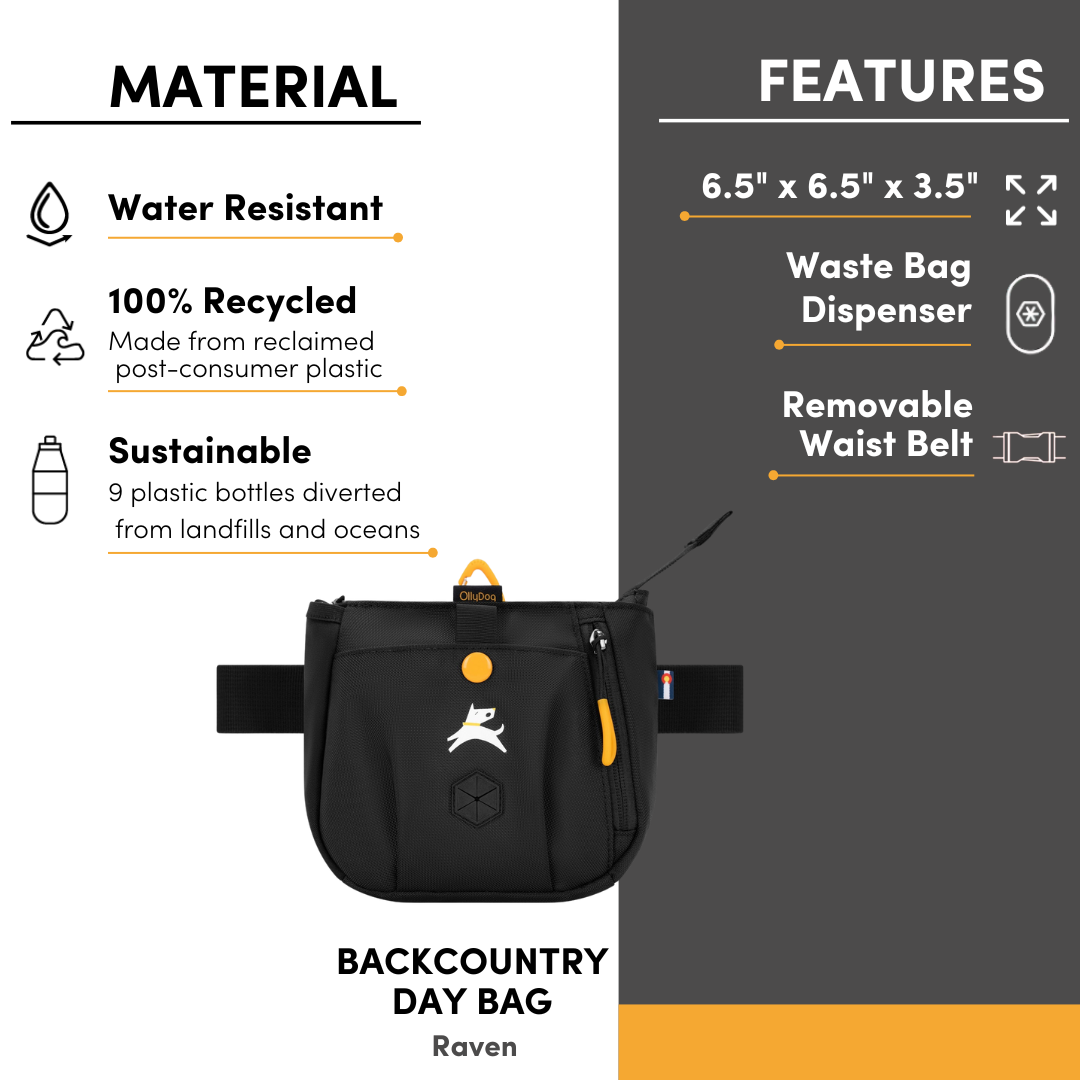 Product information sheet for the OllyDog Backcountry Day Bag in Raven color, featuring water-resistant material, 100% recycled post-consumer plastic, sustainable design, waste bag dispenser, removable waist belt, and dimensions 6.5'' x 6.5'' x 3.5'' #color_raven s'25