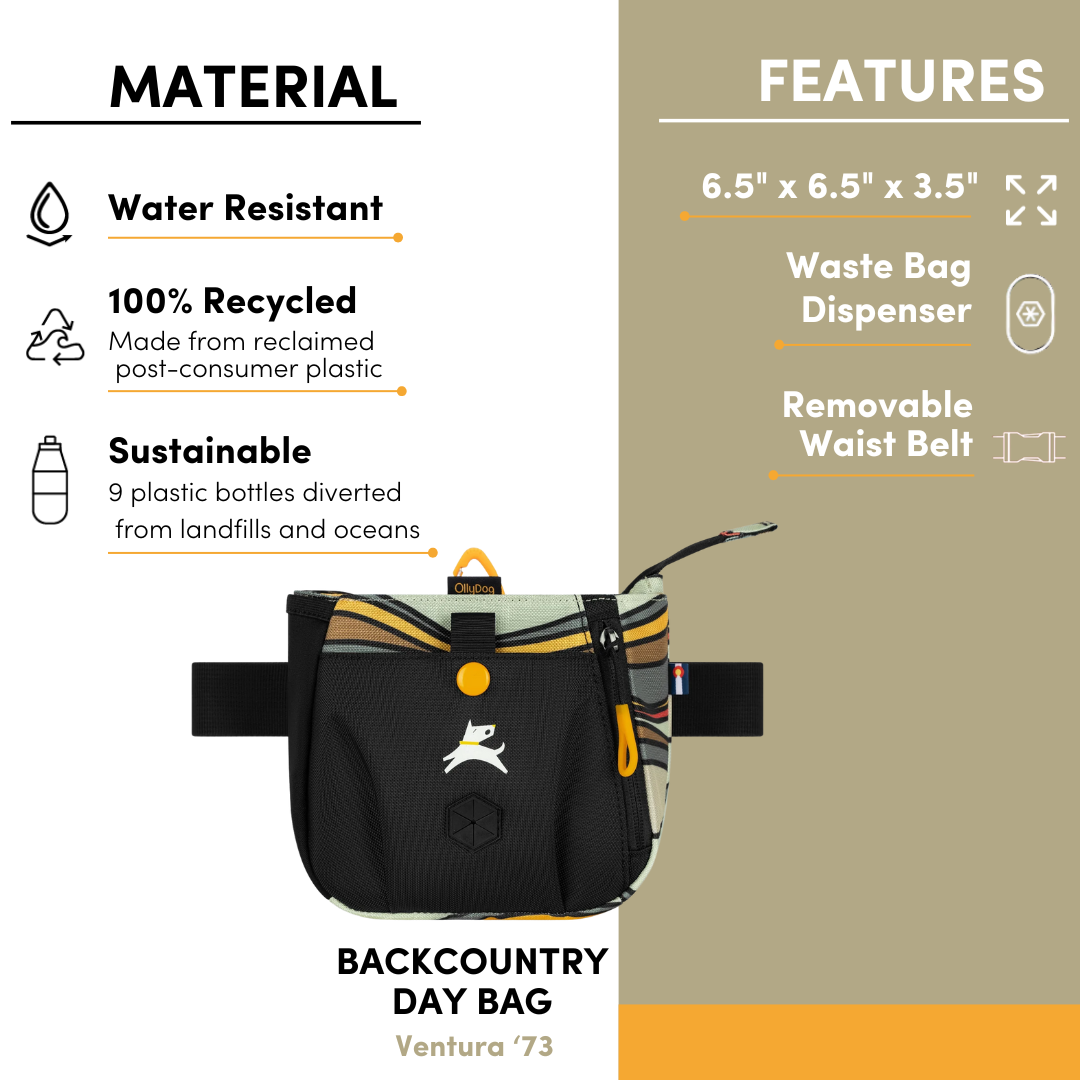 Product showcase of the Backcountry Day Bag in Ventura ’73 swirl print, with callouts for water-resistant, 100% recycled sustainable fabric, waste bag dispenser, removable waist belt, and 6.5″×6.5″×3.5″ dimensions #color_ventura '73