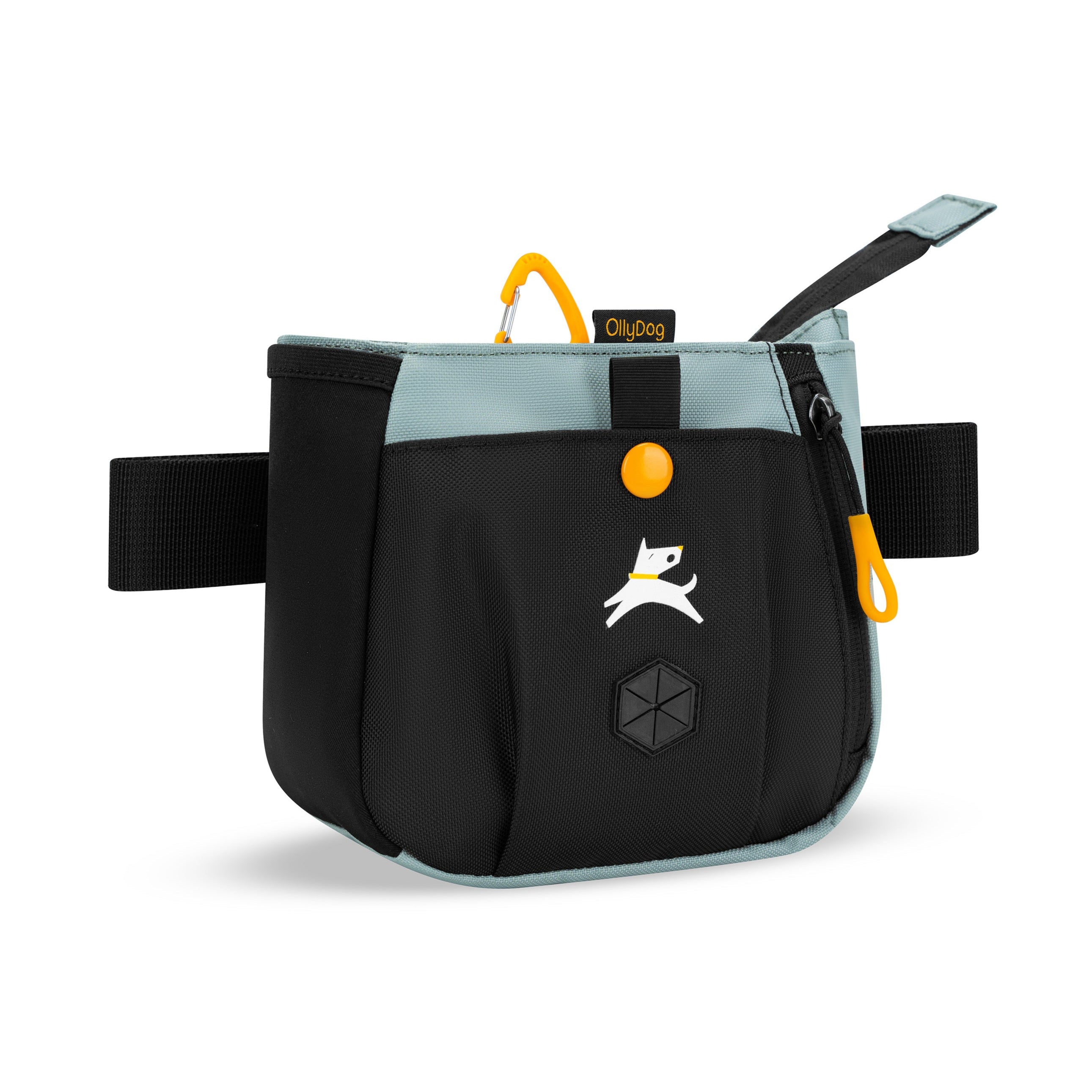 Angled front view of OllyDog’s Backcountry Day Bag in St. Lucia, a versatile dog walking waist pack featuring a zipper closure, dog poop bag holder, and extended side pocket. Ideal for hiking with dogs, this roomy bag offers adjustable straps for hands-free convenience, perfect for dog friendly trails and essential dog hiking gear. #color_st. lucia