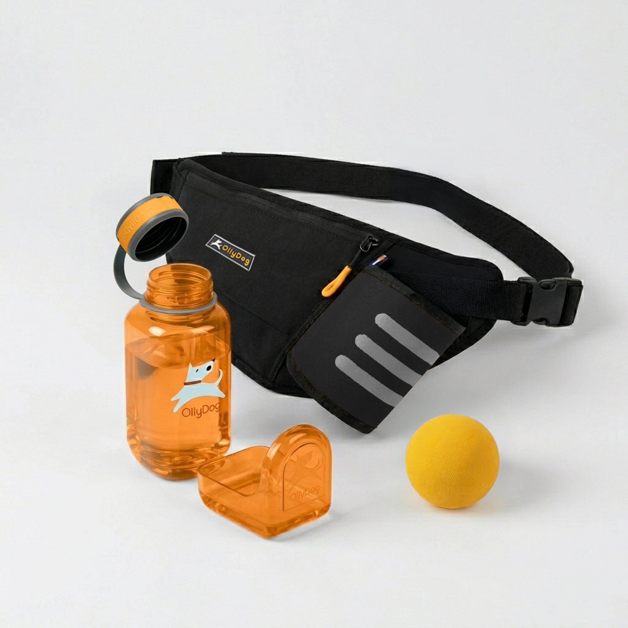 OllyDog Dog Walking Adventure Bundle