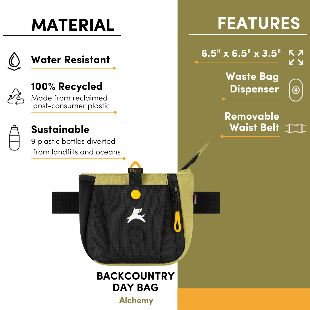 Feature infographic for OllyDog Backcountry Day Bag in Alchemy, showcasing water-resistant fabric, recycled materials, waste bag dispenser, and removable waist belt #color_alchemy