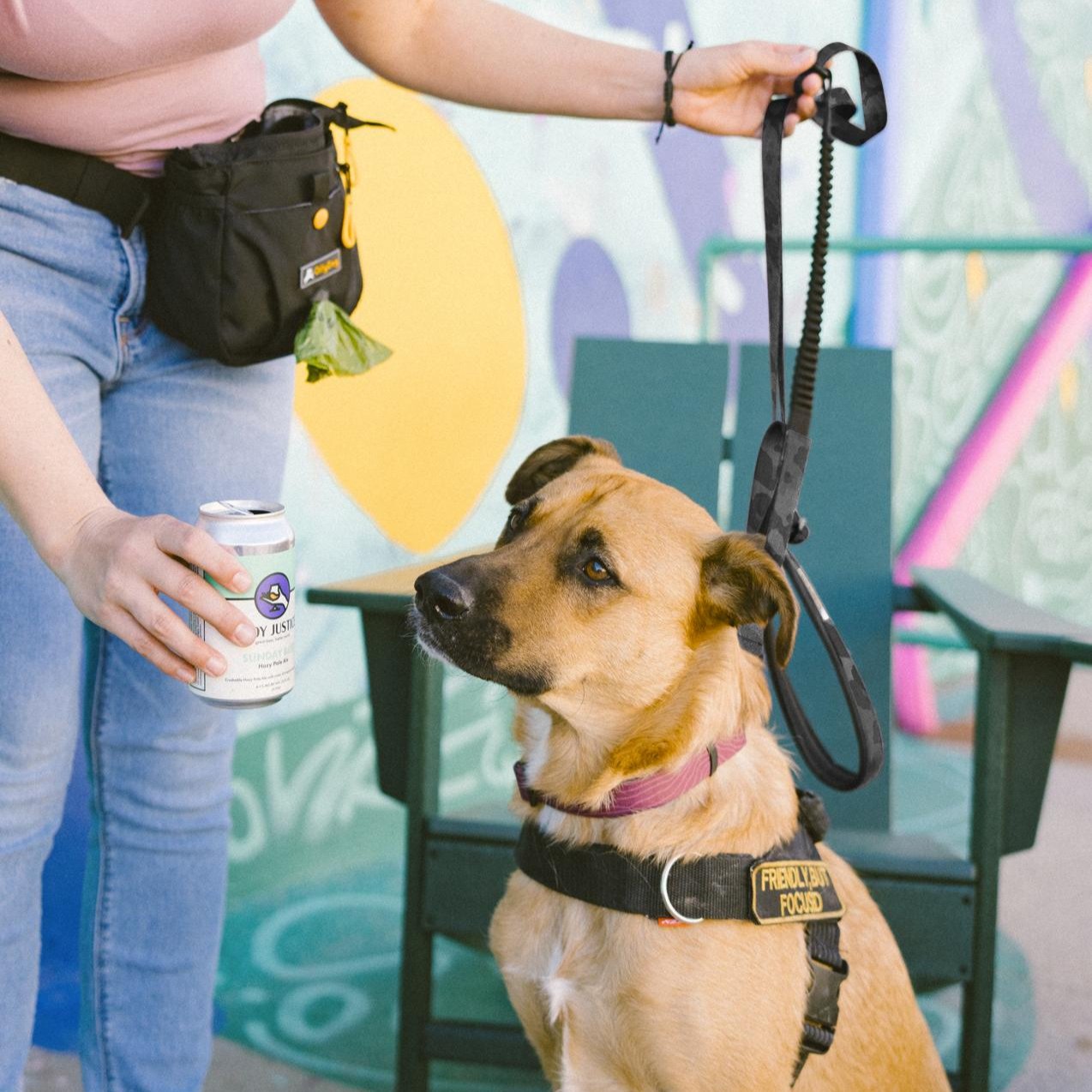 Dog on a walk using the OllyDog Flagstaff Adjustable Spring Leash in Dream Camo, with bungee stretch and padded handle. The owner holds the leash and a drink, wearing a treat pouch. Ideal for hands-free walking and running #color_dream camo