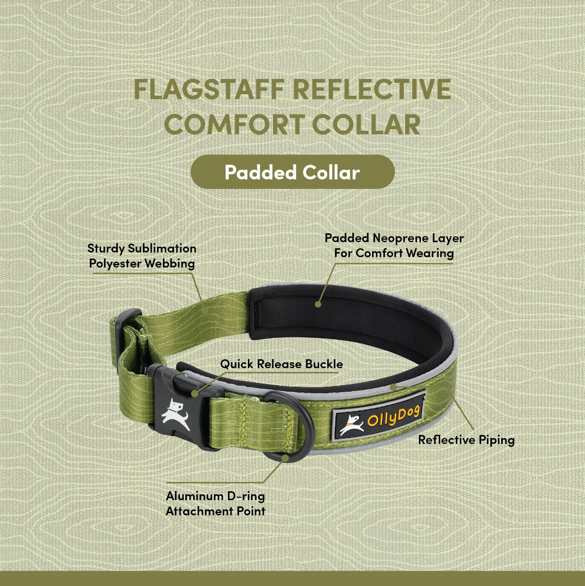OllyDog Flagstaff Reflective Comfort Collar in cactus green displayed on infographic, highlighting sturdy polyester webbing, padded neoprene layer, quick-release buckle, aluminum D-ring, and reflective piping for visibility and comfort #color_cactus woodgrain