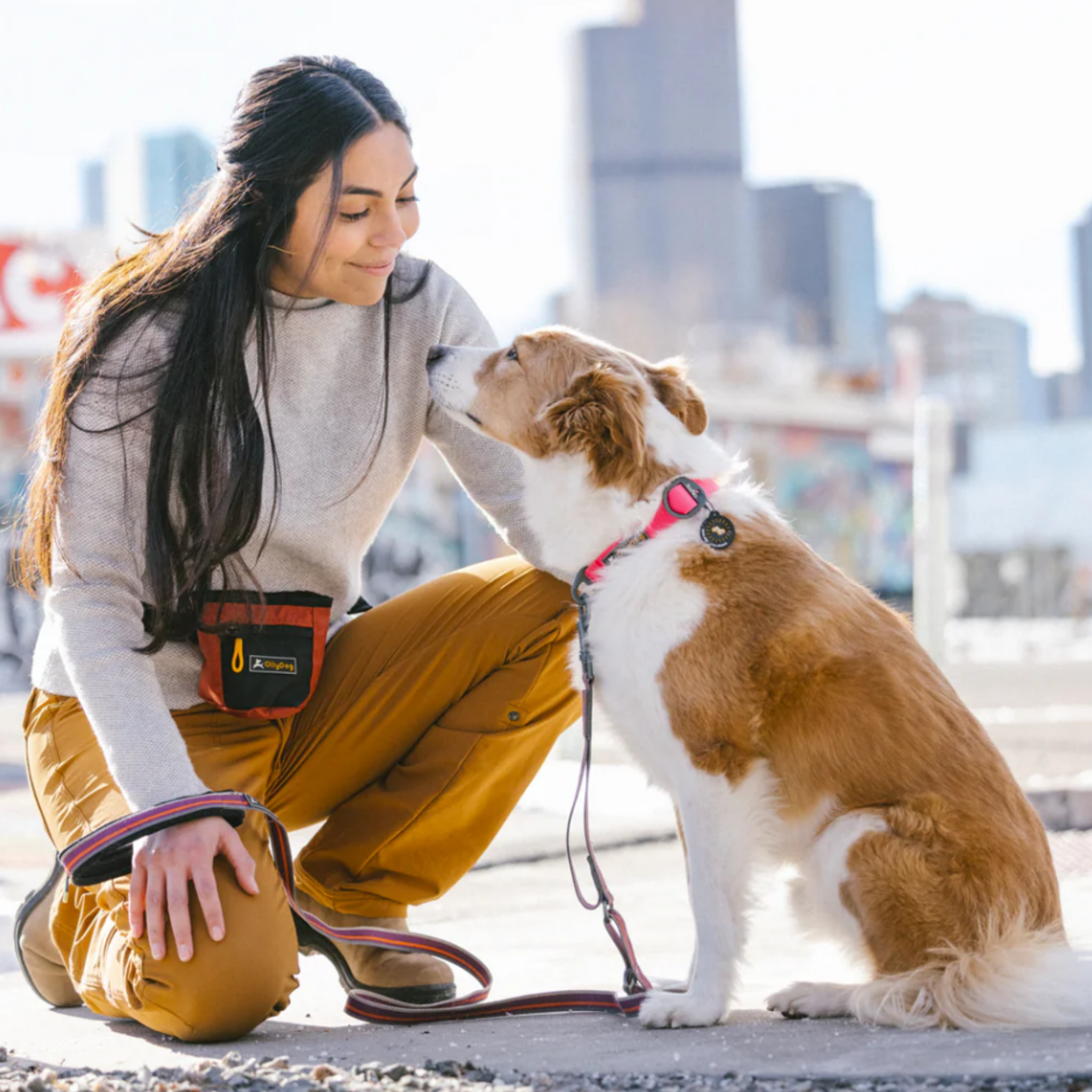 The image shows a young woman with long dark hair crouching down and interacting with a small dog on a city sidewalk. The woman is wearing a gray sweatshirt and mustard-colored pants, and has an OllyDog treat pouch attached to her waist. The dog appears to be a mixed breed with a tan and white coat. In the background, there are tall buildings visible, indicating an urban setting. The woman has a warm, affectionate expression as she engages with the dog. #color_cider