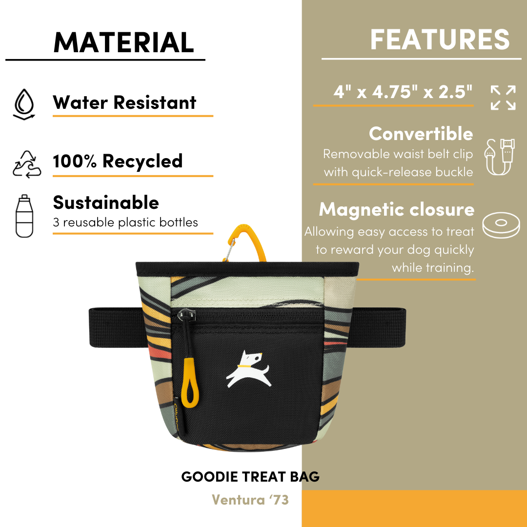 Image showcasing the features of the striped OllyDog Goodie Treat Bag, including its water-resistant and recycled material, dimensions (4" x 4.75" x 2.5"), convertible design with a removable waist belt clip, and magnetic closure for easy access #color_ventura '73