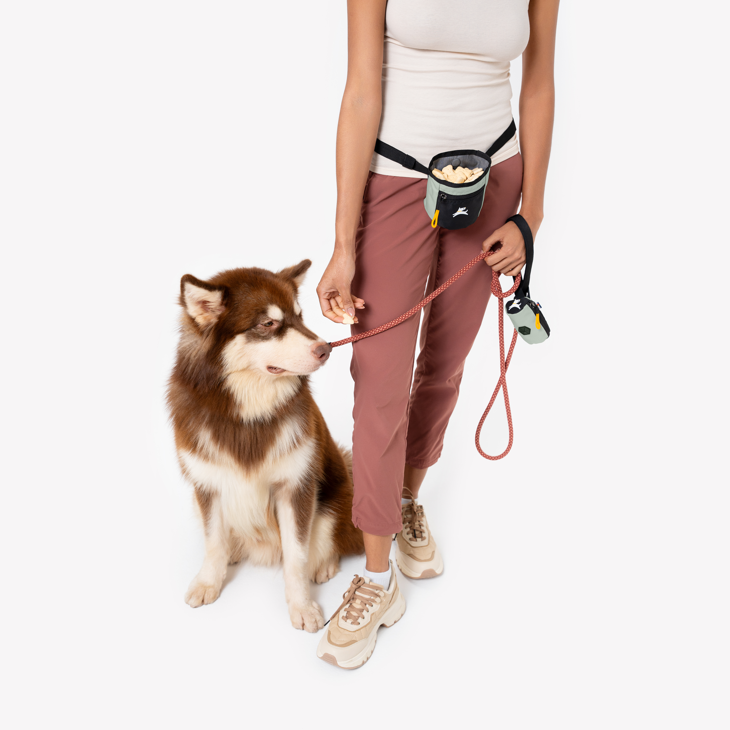Woman holding leash and wearing dog treat pouch while walking brown and white husky dog #color_celadon