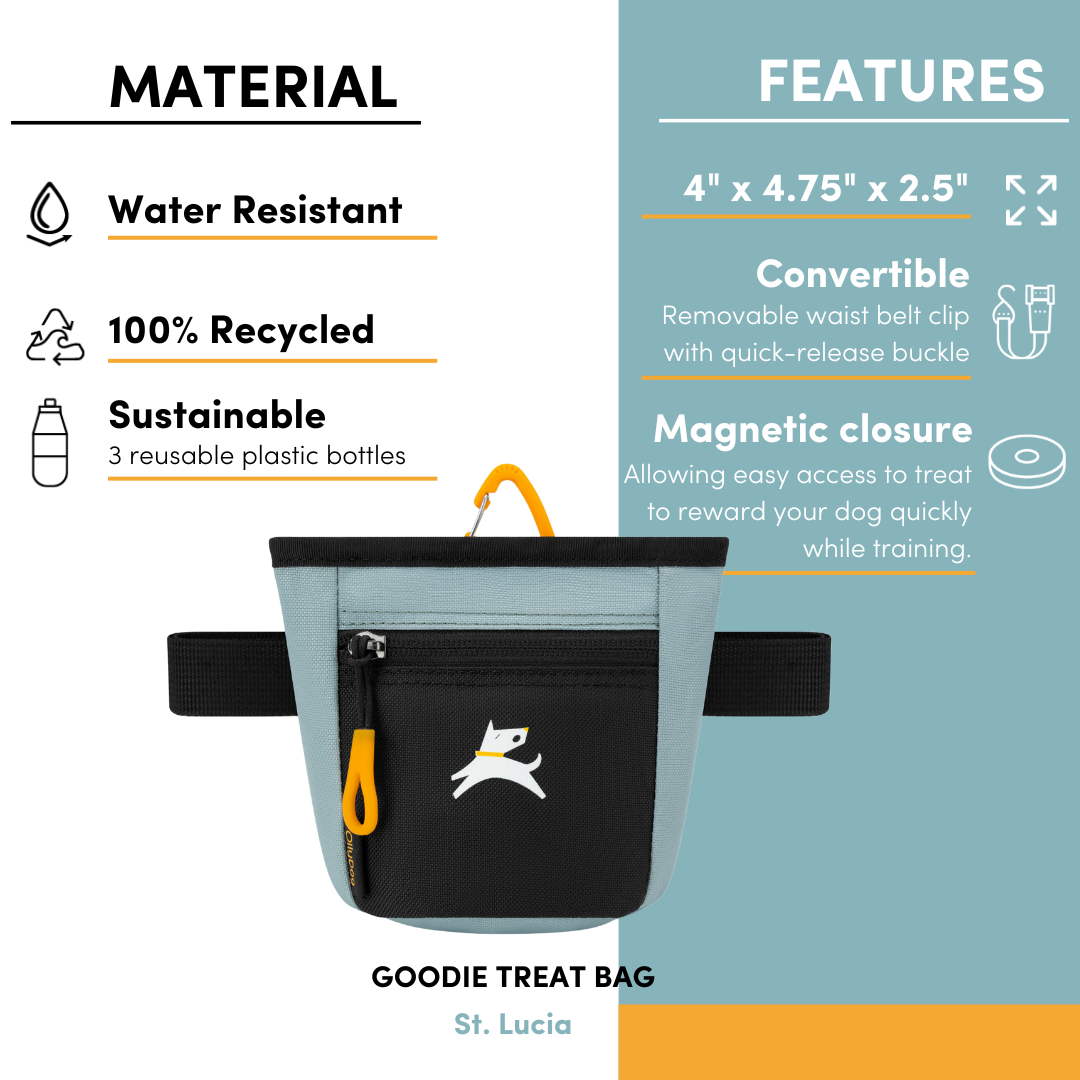 OllyDog Goodie Treat Bag in St. Lucia color showing material and features: water-resistant, 100% recycled, made from 3 plastic bottles, with convertible waist clip and magnetic closure #color_st. lucia
