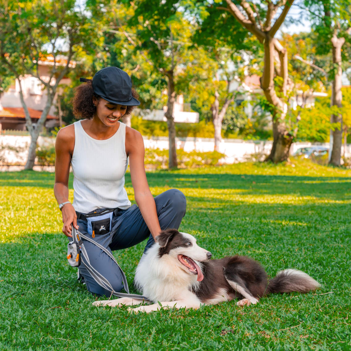 Woman training a Border Collie in the park using a hands-free dog leash and treat pouch – perfect for dog walking and obedience training #color_blue heron