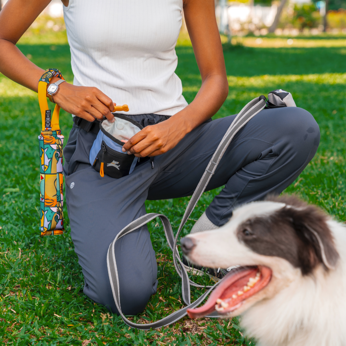 Close-up of woman using a treat pouch to reward a Border Collie during training, wearing a hands-free leash and holding a colorful dog poop bag holder #color_blue heron