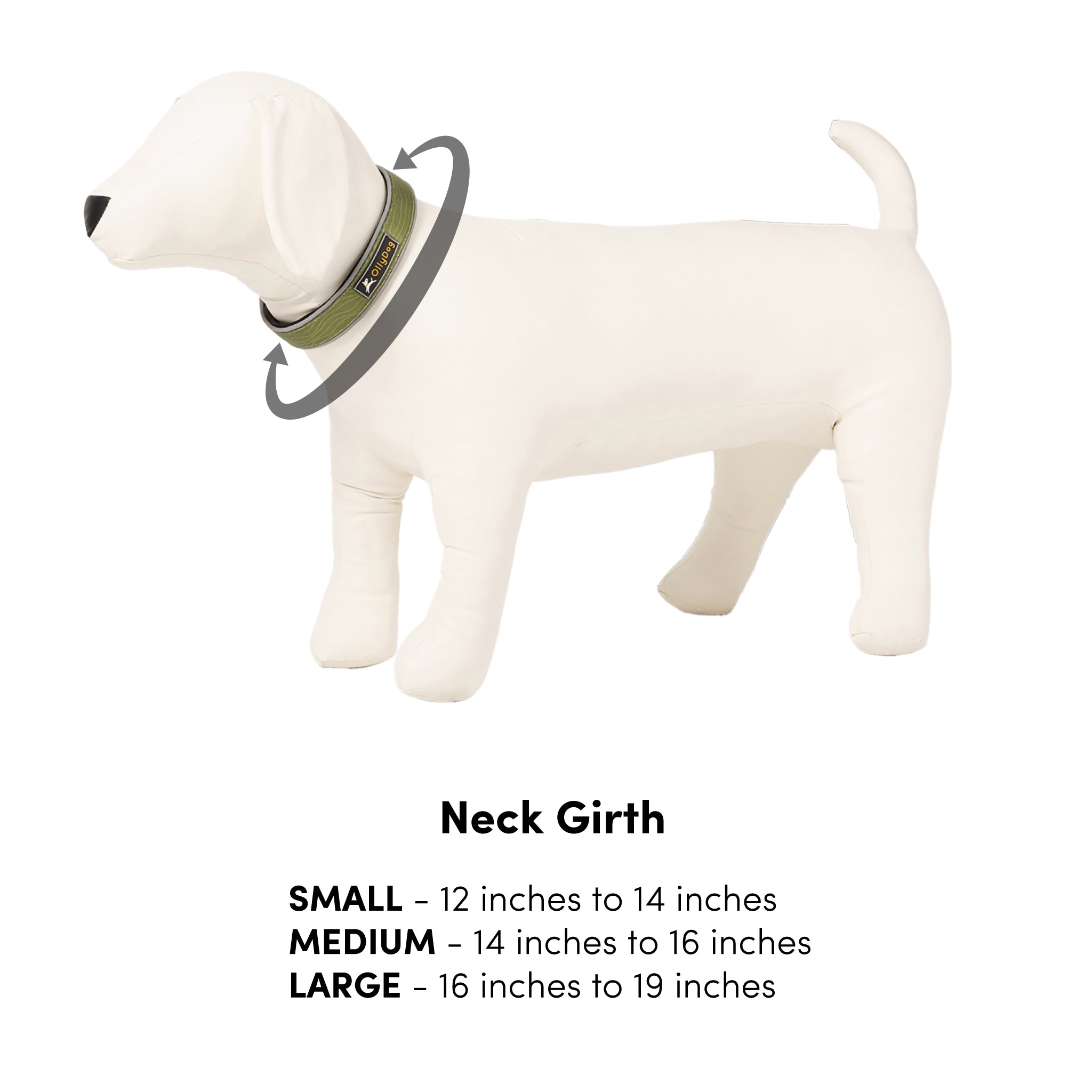 Dog mannequin wearing OllyDog Martingale reflective comfort collar in dream camo color, showing neck girth size guide for small medium large dogs. Adjustable padded slip collar for training, walking, and pet safety, 12 to 19 inches sizing chart #color_dream camo