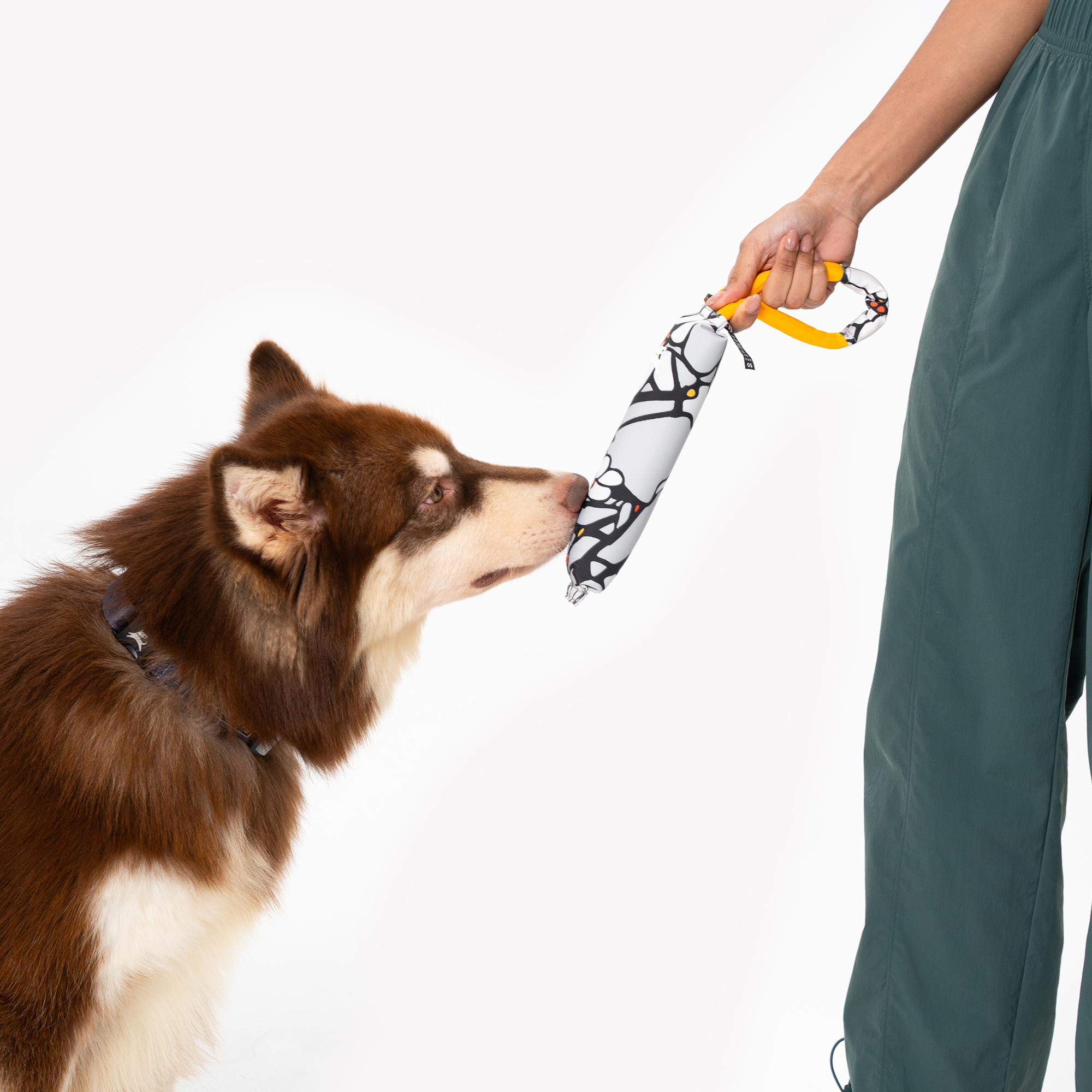 Dog interacting with the OllyDog Tugger dog toy in Magnolia print. The floral black-and-white patterned toy features a sturdy yellow handle, designed for tugging, fetching, and chewing play #color_magnolia