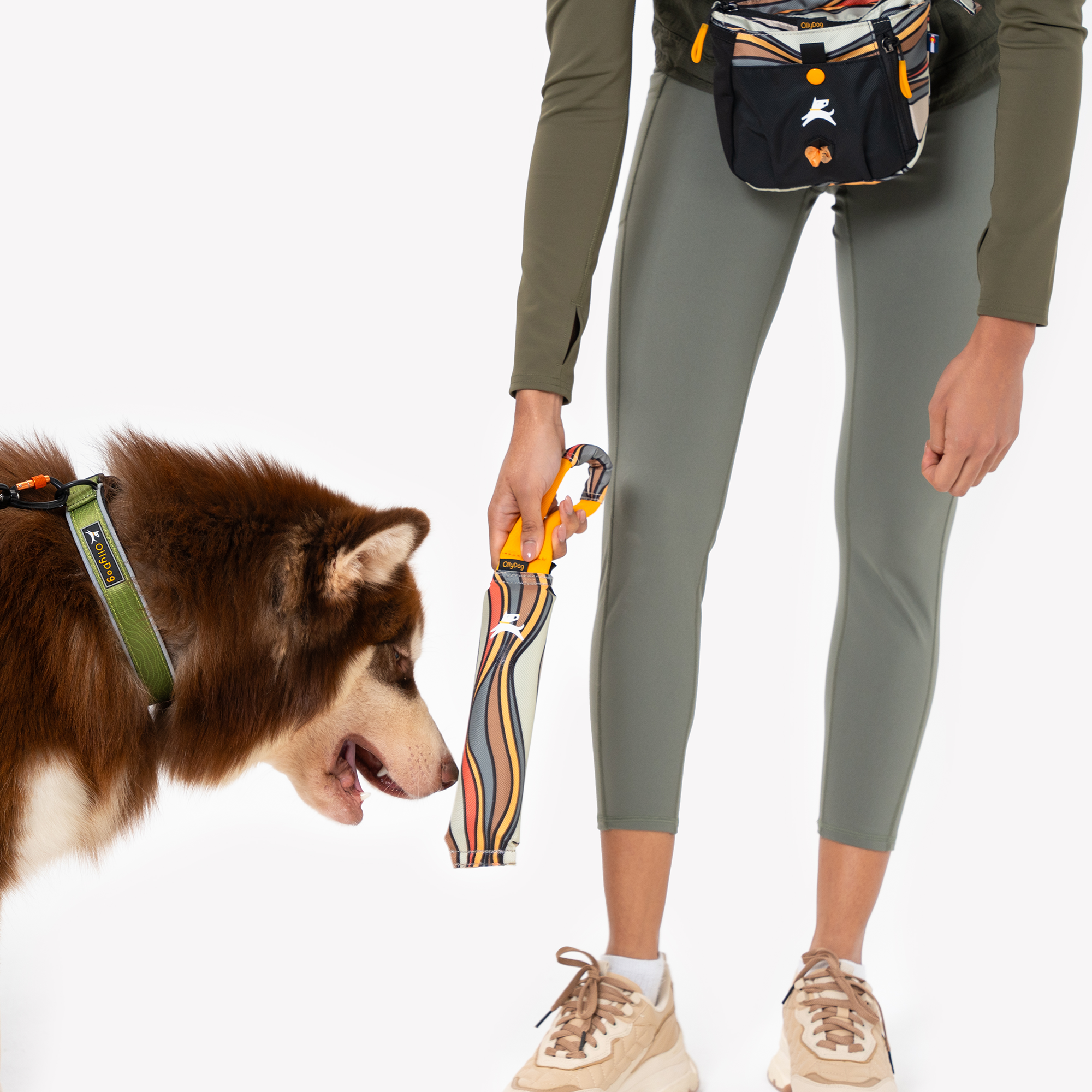 A dog interacts with the OllyDog Tugger interactive dog toy in Ventura '73 print, held by a person wearing sage green leggings and a coordinating fanny pack, against a white background #color_ventura '73