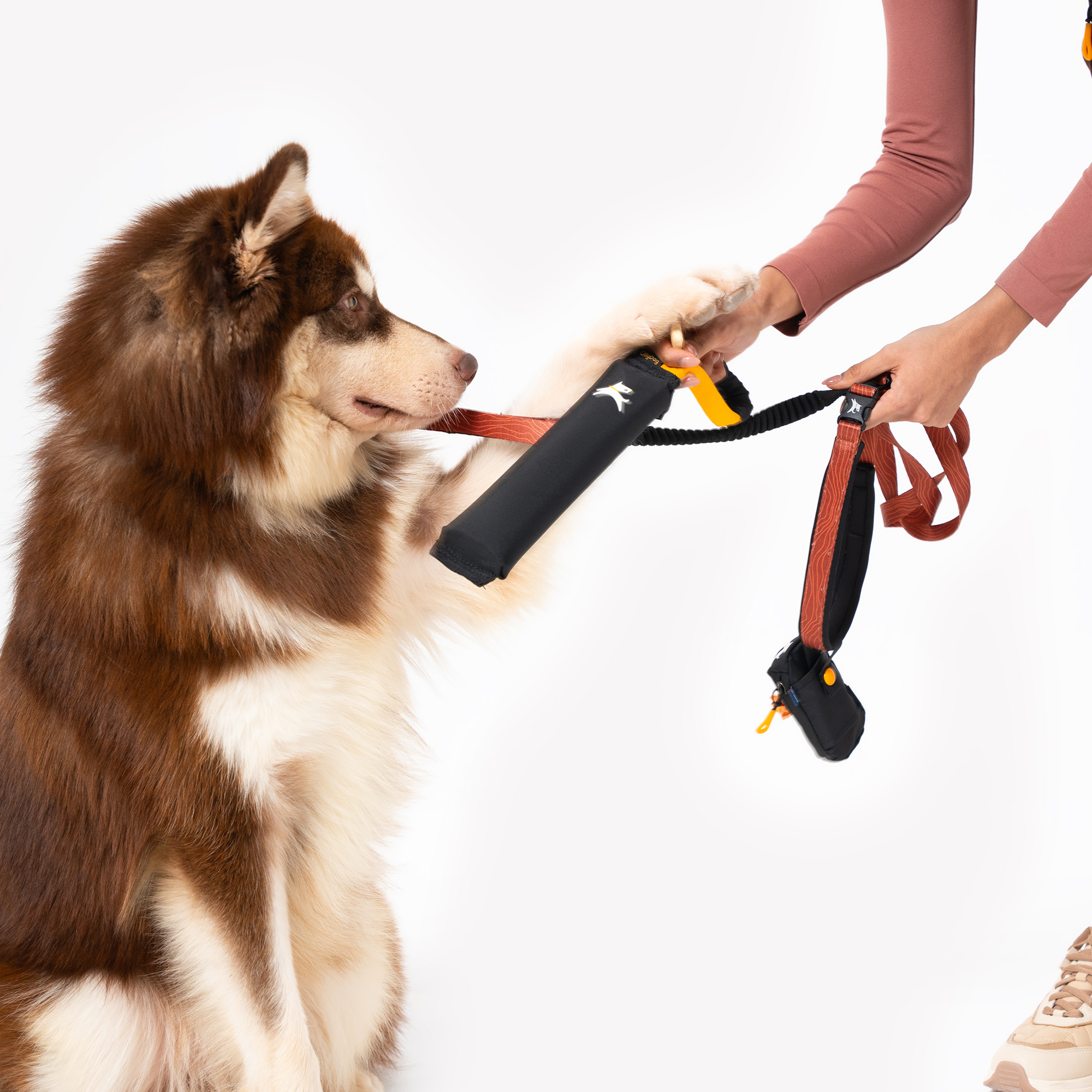 Dog interacting with the OllyDog Tugger interactive dog toy in Raven colorway. The dog grips the black tug toy with its paw while a person holds the yellow handle. A second leash and pouch are also partially visible #color_raven