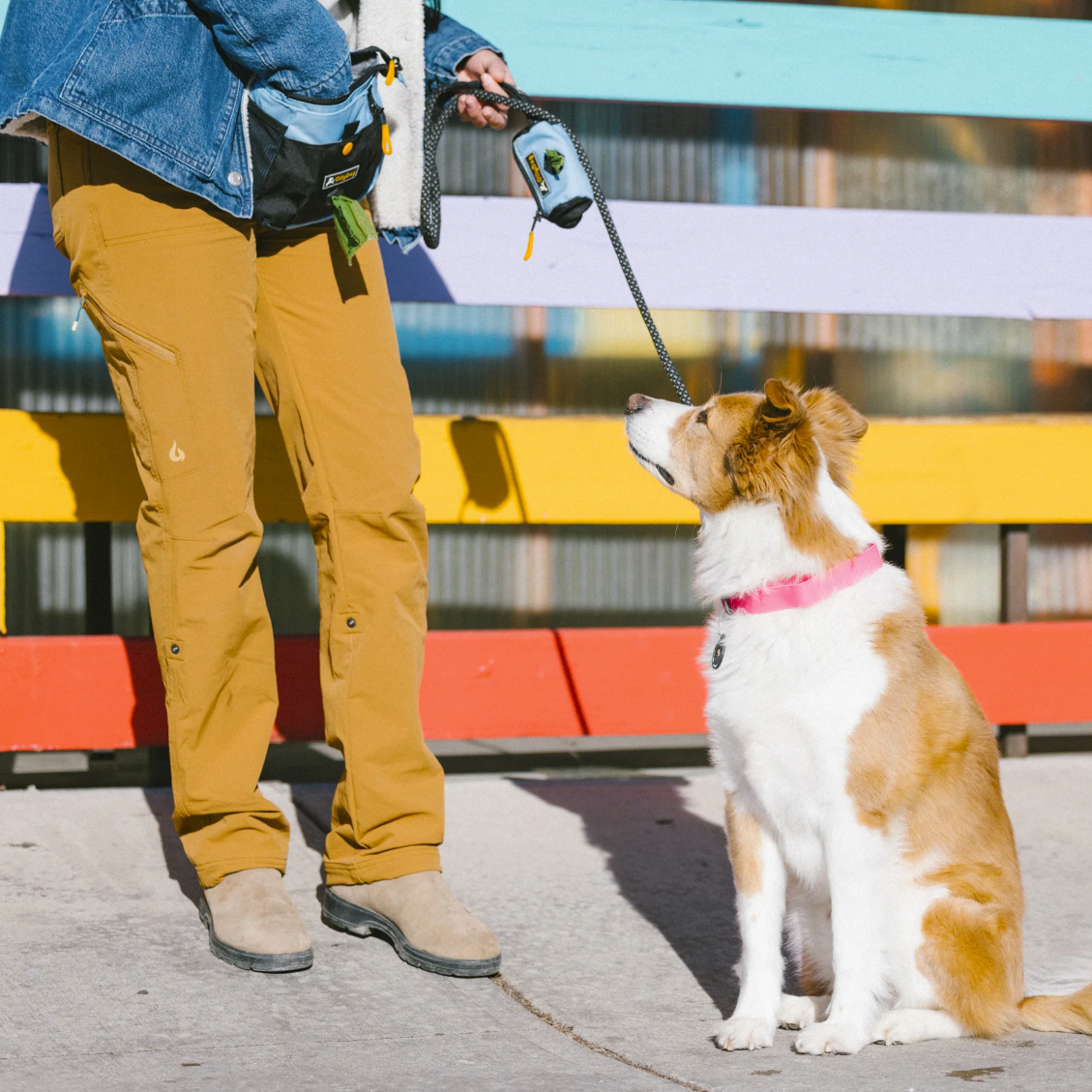 The image shows a person standing with a dog on a leash in front of a colorful, abstract wooden fence. The person, dressed in jeans and boots, is holding a leash that features the OllyDog Scoop Pick Up Bag attached, serving as a convenient dog waste bag dispenser. #color_maui blue