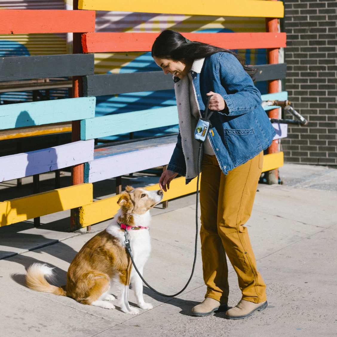 The image shows a person standing with a dog on a leash in front of a colorful, abstract wooden fence. The person, dressed in jeans and boots, is holding a leash that features the OllyDog Scoop Pick Up Bag attached, serving as a convenient dog waste bag dispenser. #color_maui blue