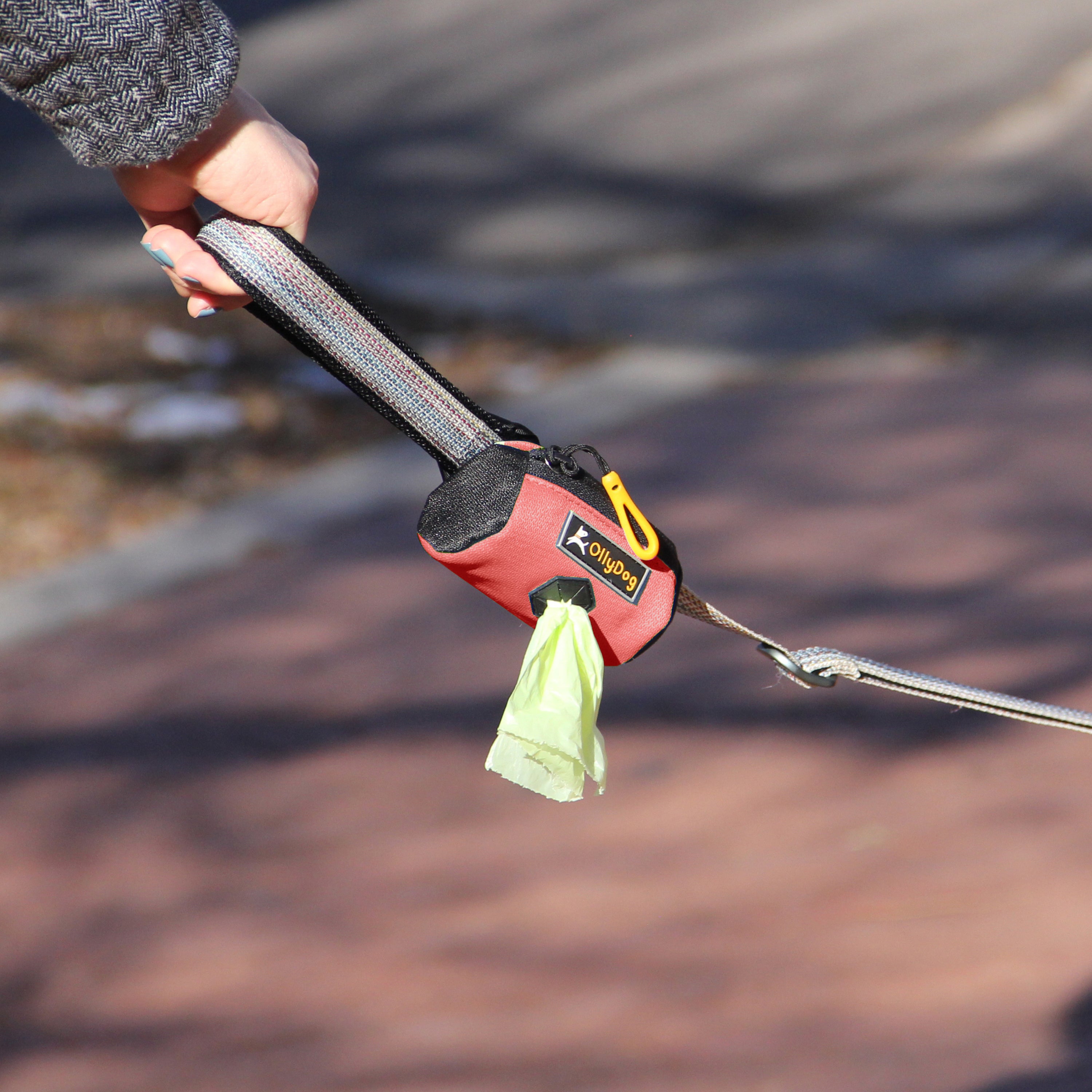 Close-up of a hand holding a dog leash featuring an OllyDog dog waste bag dispenser. The dispenser is attached to the leash. #color_cider