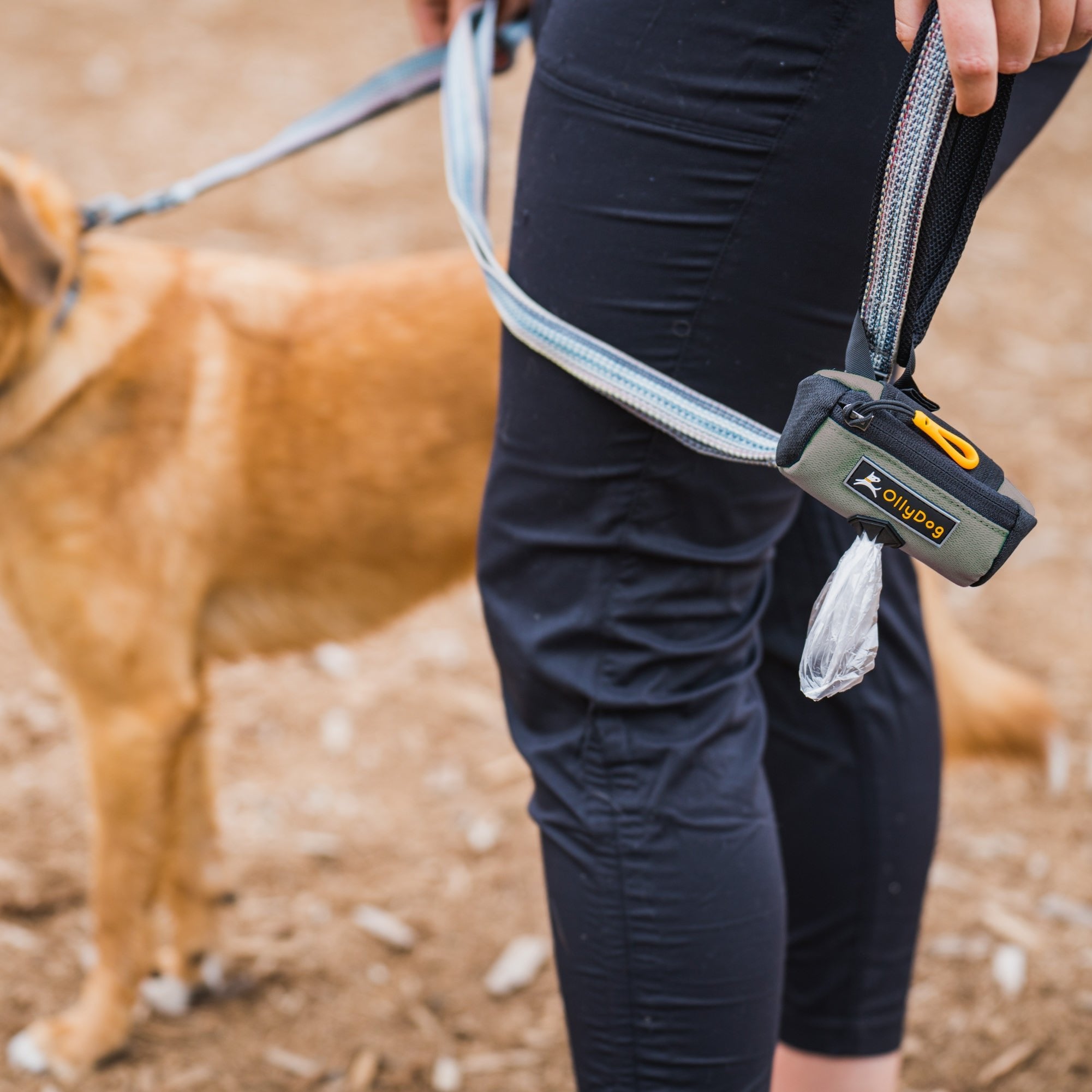 Close-up of a person holding a dog leash with an attached OllyDog dog waste bag dispenser, Scoop Pick Up Bag in Juniper. #color_juniper