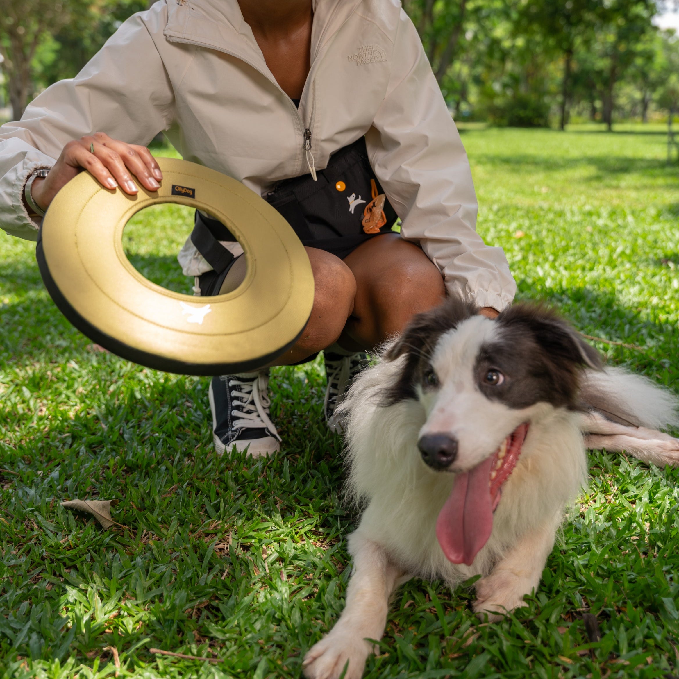 Woman crouching in park holding the OllyDog Super Flyer in Alchemy color next to a happy dog lying on the grass #color_alchemy