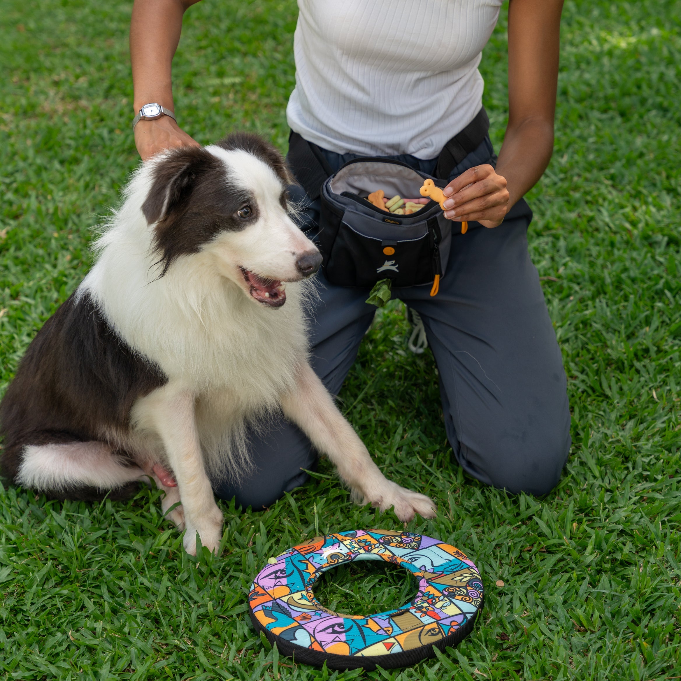 Dog sitting next to owner receiving a treat in the park with the OllyDog Super Flyer in Cloud9 pattern resting on the grass #color_cloud9