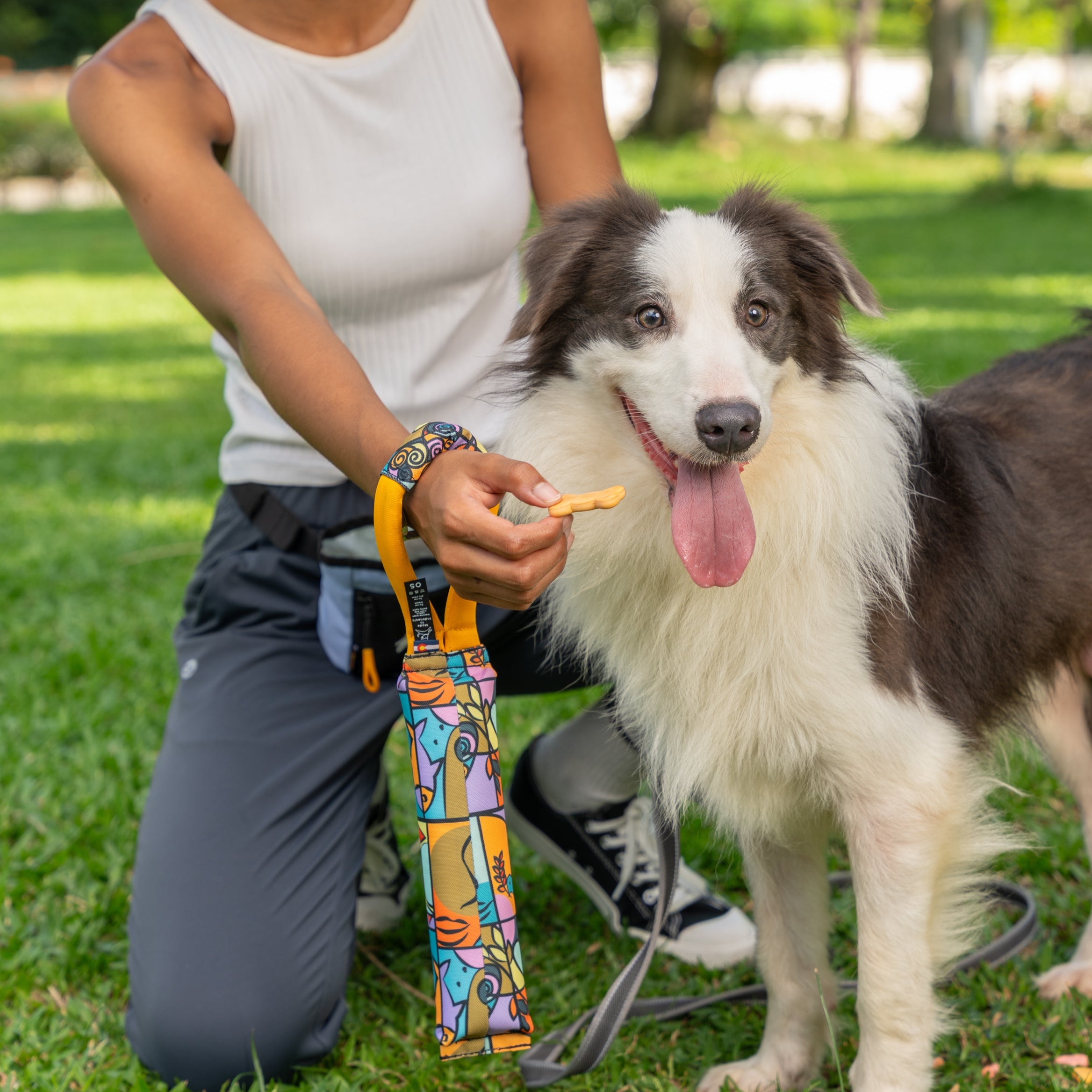 Woman holding the OllyDog Tugger Toy in Cloud9 pattern while offering a treat to her happy dog during a play session in the park #color_cloud9