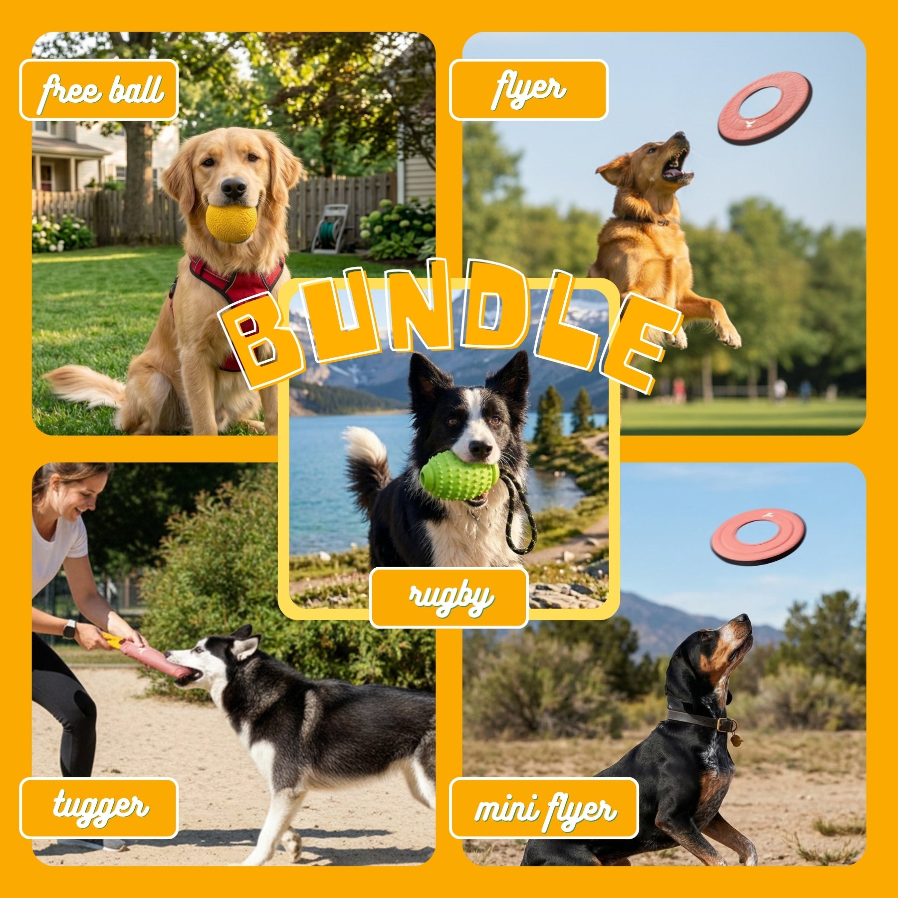 A lifestyle collage of various dog breeds playing outdoors with the OllyDog Desert rose toy bundle. Featuring a Golden Retriever with a yellow ball, a Border Collie with a green spikey rugby toy, a Husky playing tug-of-war, and dogs catching Desert-colored flyers in park and mountain settings #color_desert
