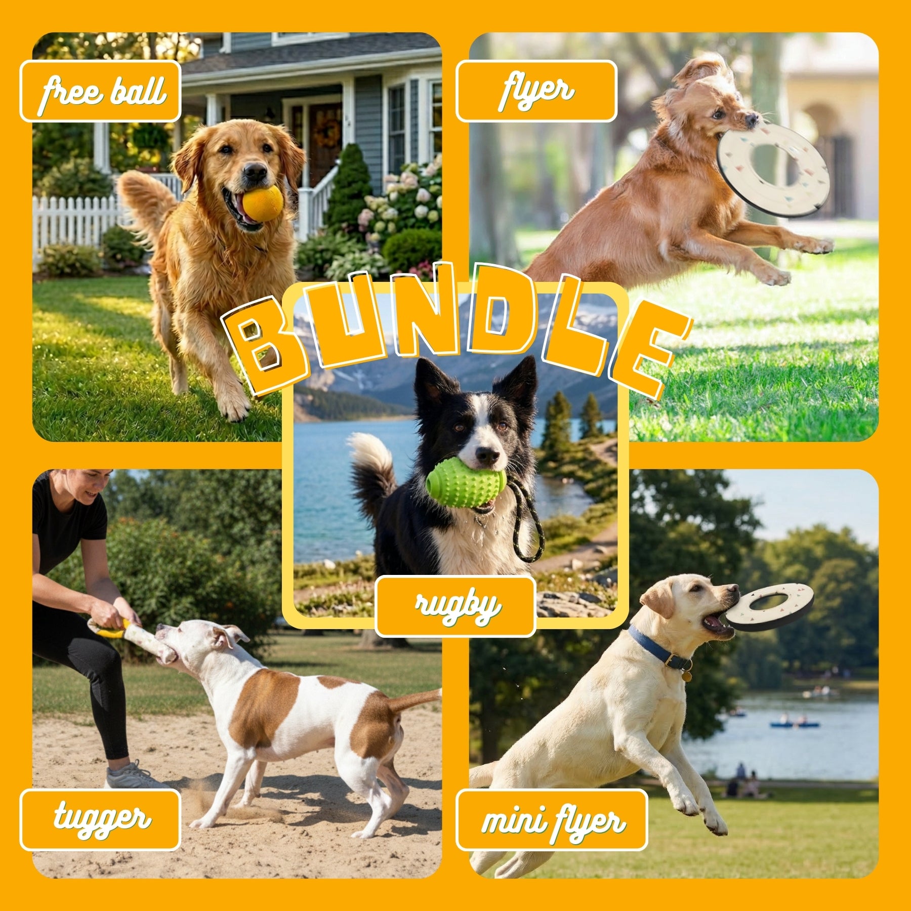 A lifestyle collage for the OllyDog Terrazzo collection featuring a Golden Retriever with a ball, a Border Collie with a spikey rugby toy, and dogs catching Terrazzo pattern flyers. Includes a person playing tug-of-war with a dog using the canvas tugger in an outdoor park setting #color_terrazzo