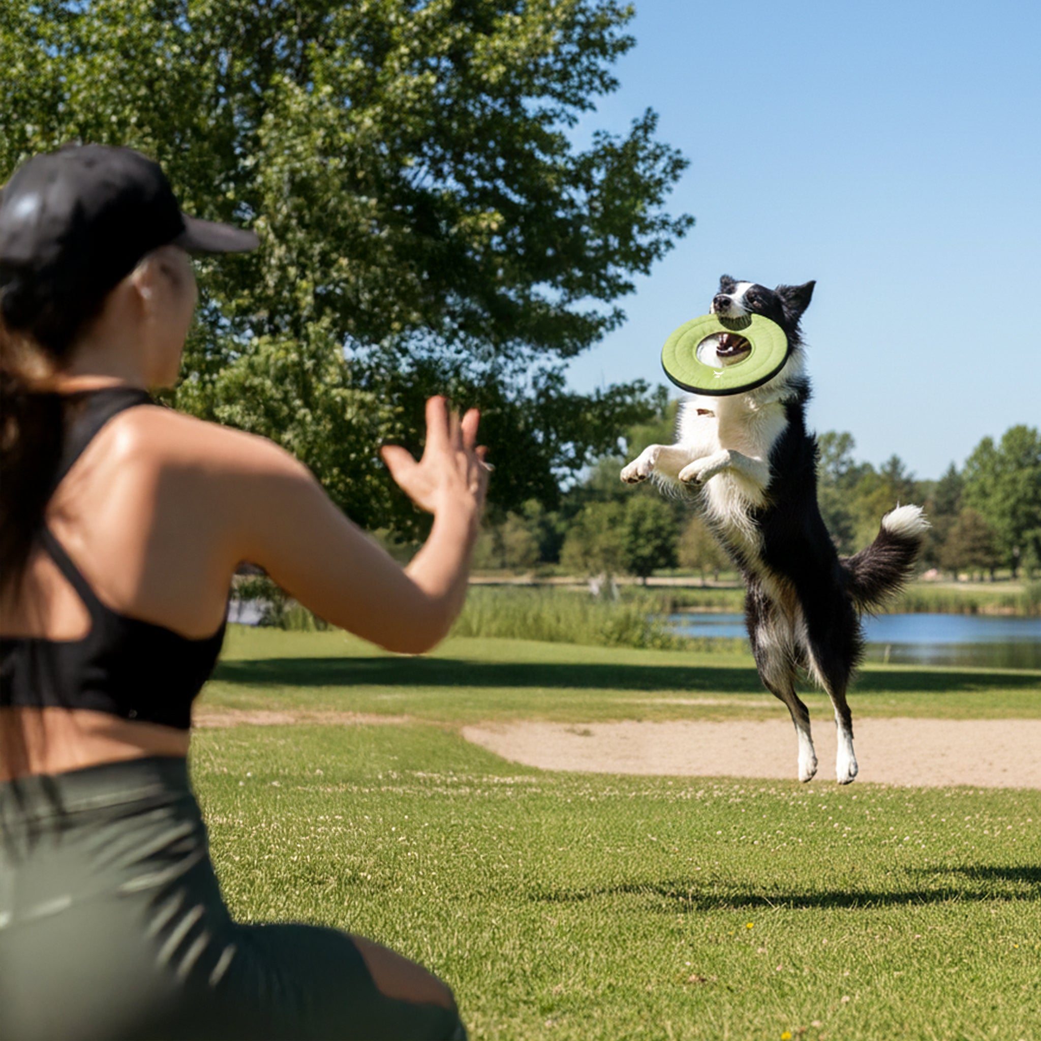 Action lifestyle shot of a black and white dog leaping into the air to catch the OllyDog Super Flyer dog flying disc in palm green color, played by a woman in a park by the water.#color_palm