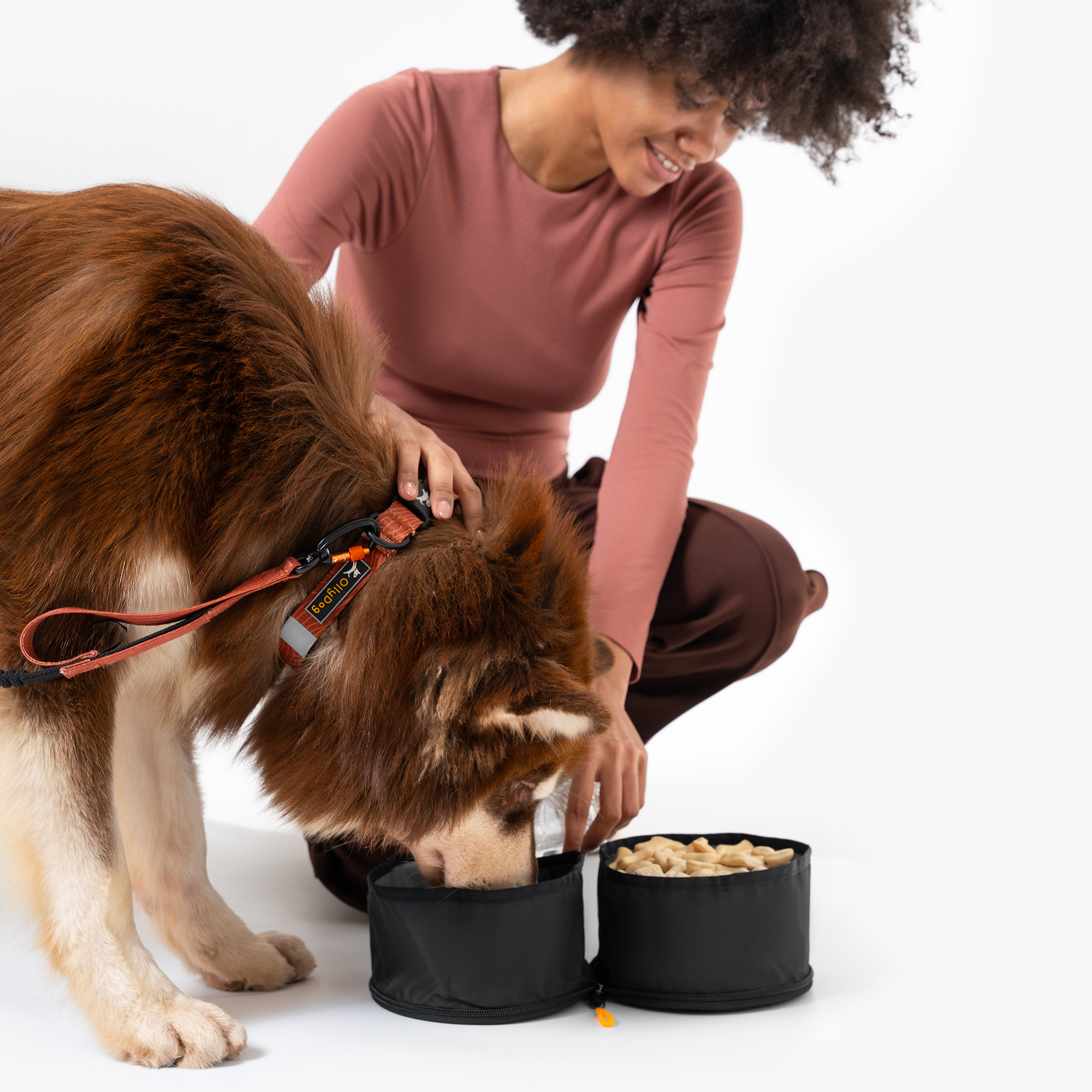 A person with dark curly hair, wearing a maroon top and pants, is kneeling next to a brown and white dog that is eating from one of two connected black OllyDog Superbowl collapsible dog bowls. The person is holding the dog's leash #color_raven