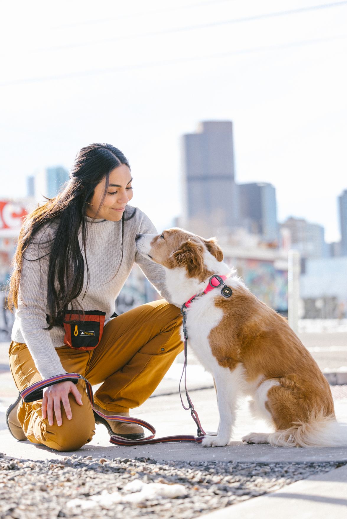 Lifestyle shot of a woman kneeling outdoors with a brown and white dog wearing the OllyDog Tilden Waterproof Collar in pink color, featuring a matching leash and city skyline background. #color_pink