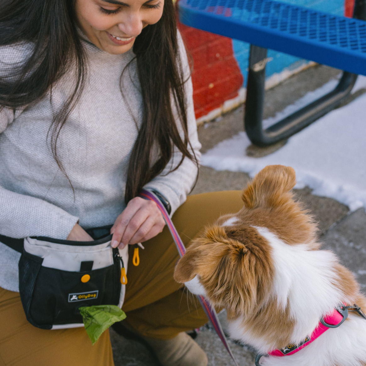 A woman wearing OllyDog’s Backcountry Day Bag in Bluff, a dog walking waist pack perfect for hiking with dogs. This essential piece of dog hiking gear is designed for comfort and functionality on dog friendly trails. #color_bluff
