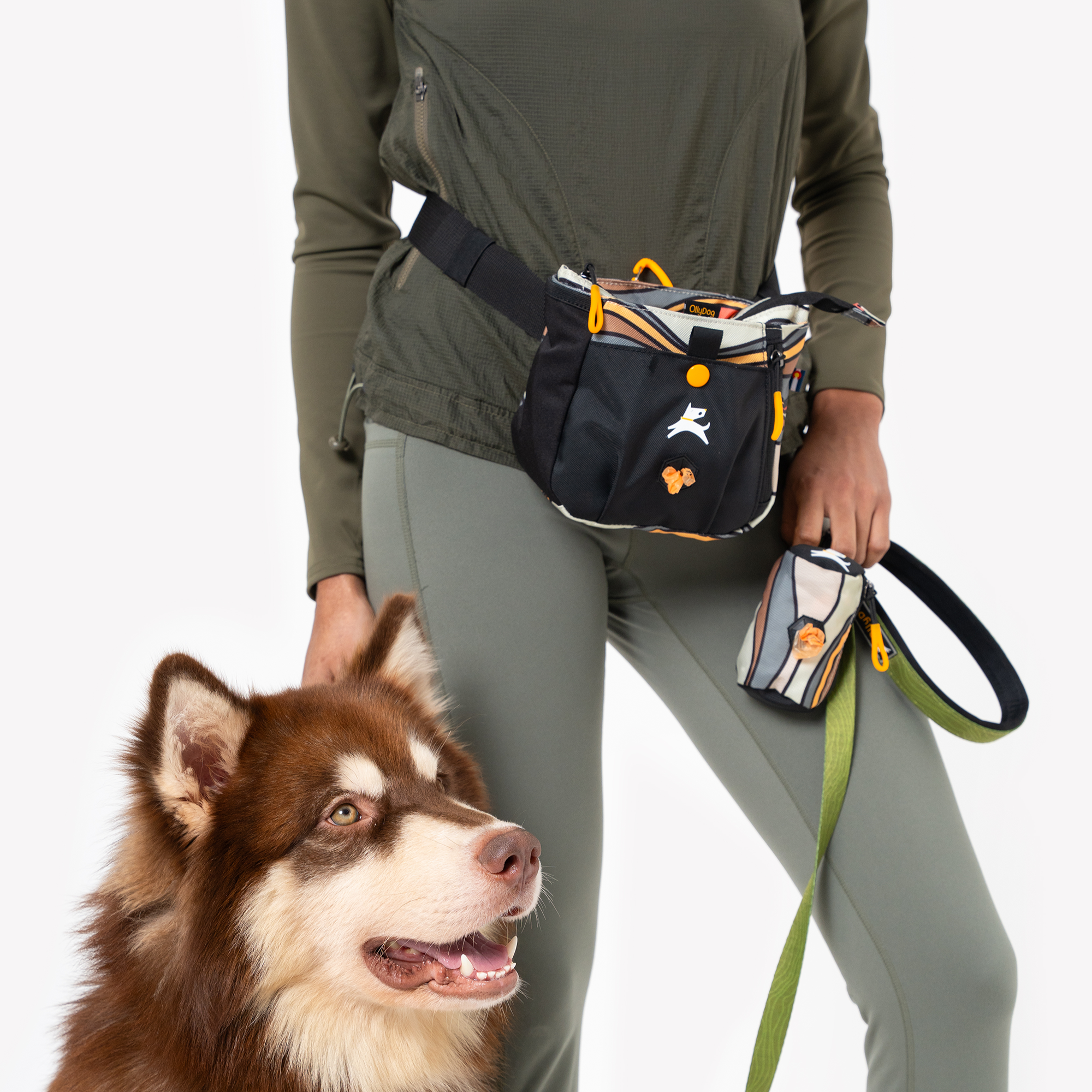 Person wearing an olive green outfit using a black and orange dog walking waist bag, holding a matching leash pouch, standing next to a happy brown and white Husky dog #color_ventura '73
