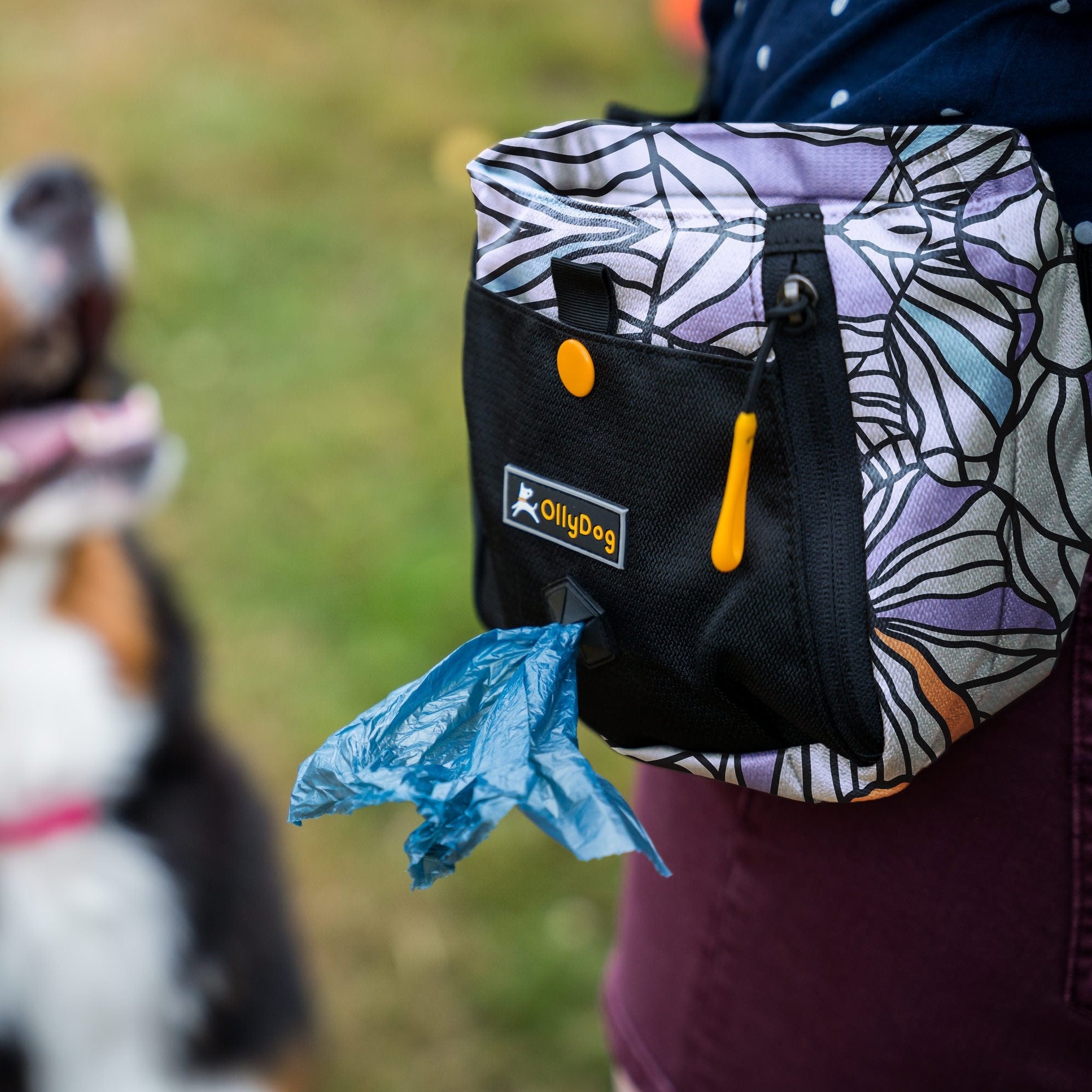 A person in jeans wearing OllyDog’s Backcountry Day Bag in Bloom, a dog walking waist pack perfect for hiking with dogs. This essential piece of dog hiking gear is designed for comfort and functionality on dog friendly trails. #color_bloom