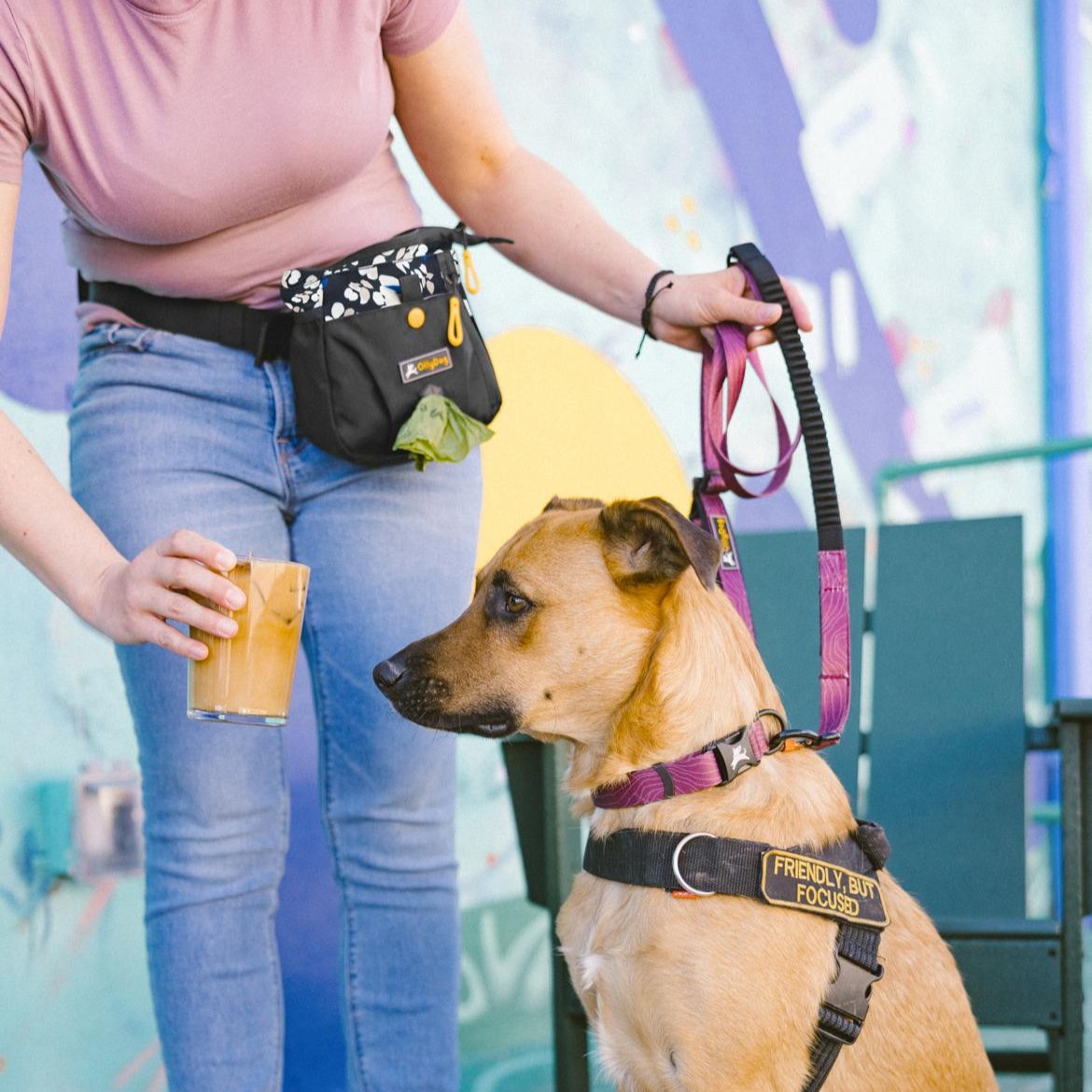 A person in jeans wearing OllyDog’s Backcountry Day Bag in Lotus, a dog walking waist pack perfect for hiking with dogs. This essential piece of dog hiking gear is designed for comfort and functionality on dog friendly trails. #color_lotus