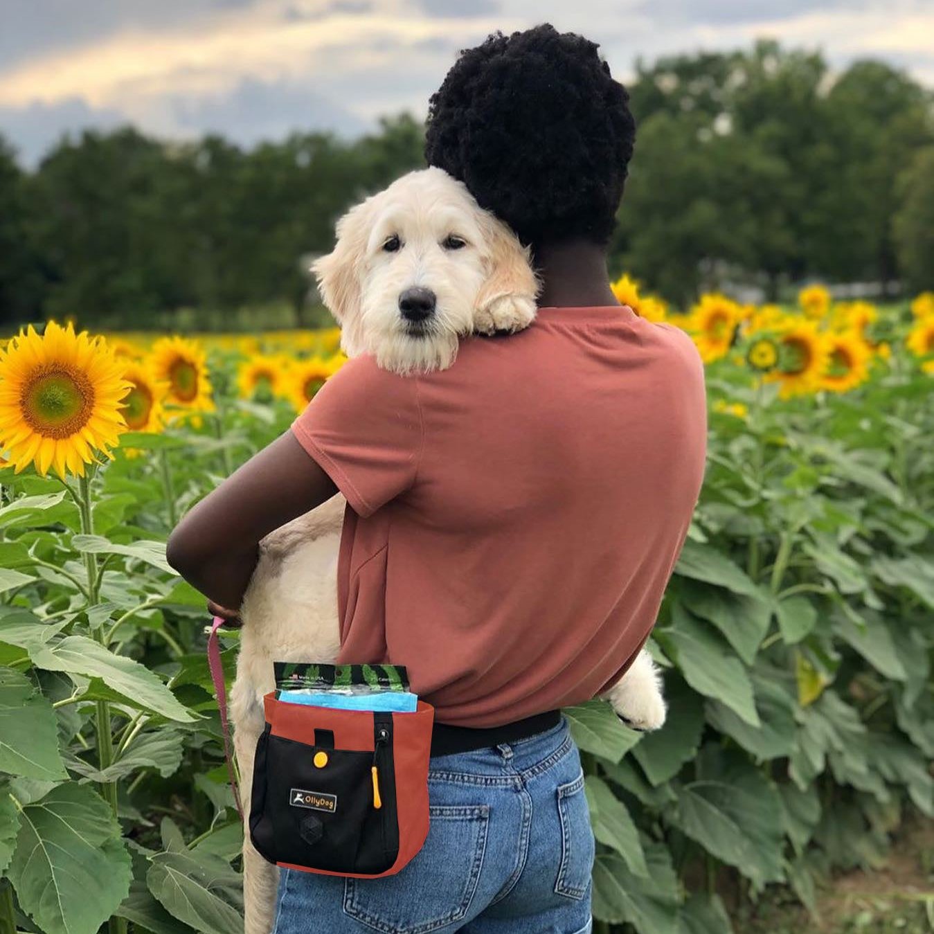 A person wearing OllyDog’s Backcountry Day Bag in Cider, a dog walking waist pack perfect for hiking with dogs. This essential piece of dog hiking gear is designed for comfort and functionality on dog friendly trails. #color_cider
