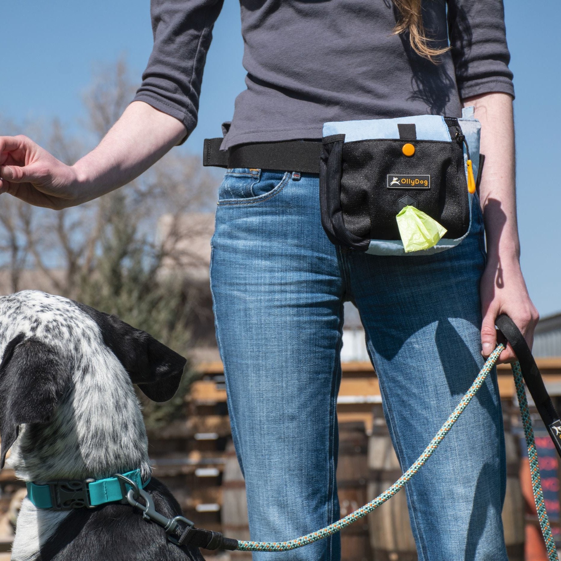 A person in jeans wearing OllyDog’s Backcountry Day Bag in Maui Blue, a dog walking waist pack perfect for hiking with dogs. This essential piece of dog hiking gear is designed for comfort and functionality on dog friendly trails. #color_maui blue