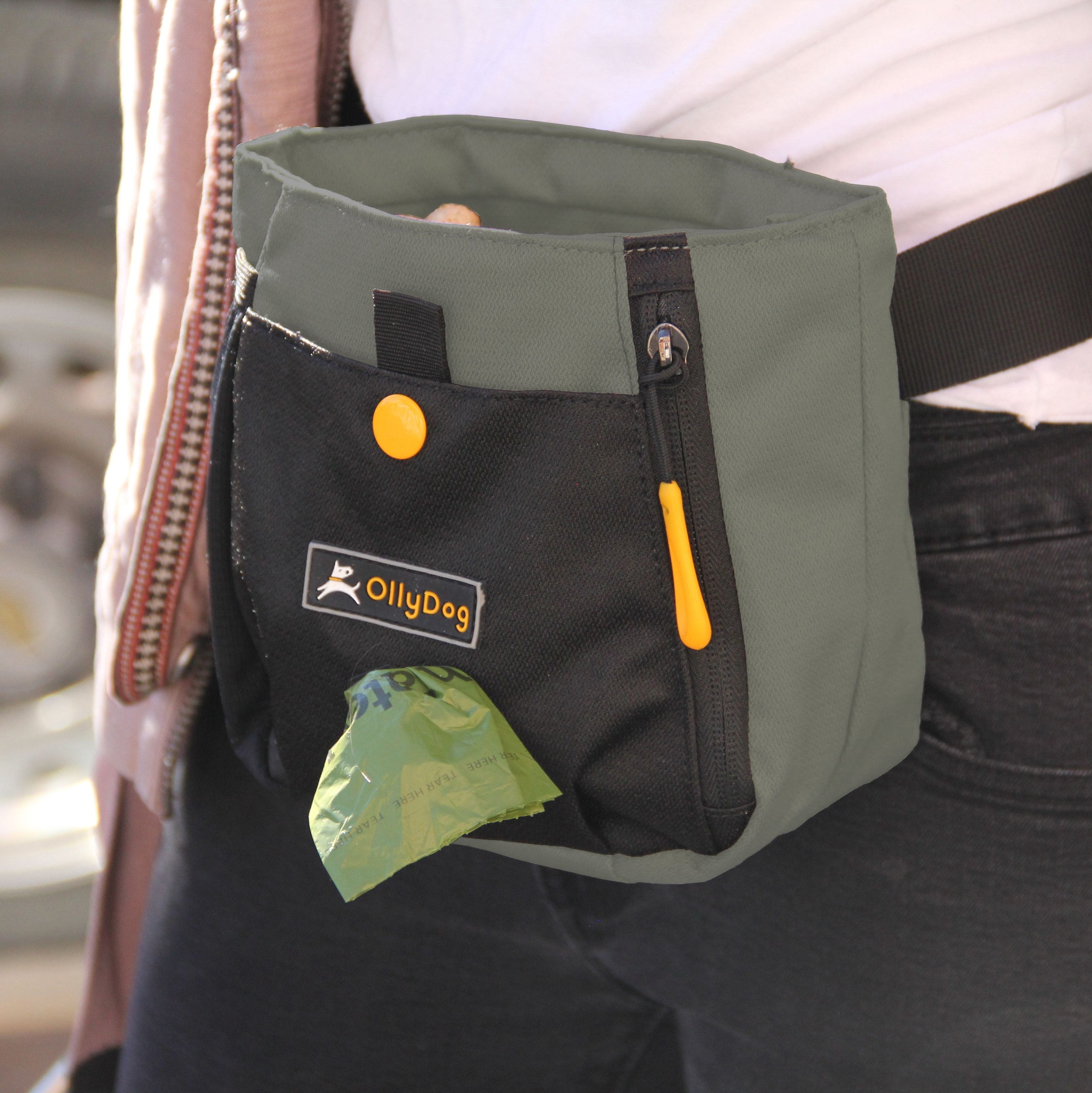 A person wearing OllyDog’s Backcountry Day Bag in Juniper, a dog walking waist pack perfect for hiking with dogs. This essential piece of dog hiking gear is designed for comfort and functionality on dog friendly trails. #color_juniper