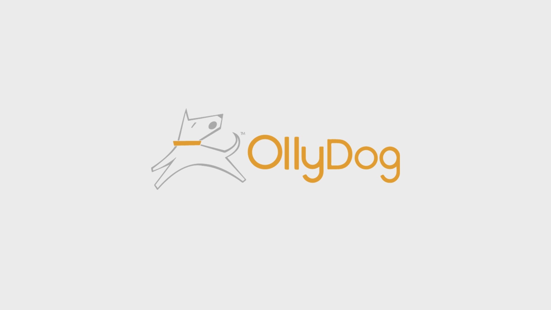 OllyDog_Trailblazer_Pack_Hands-Free_Adventure_Water-Resistant_Recycled_Material 34