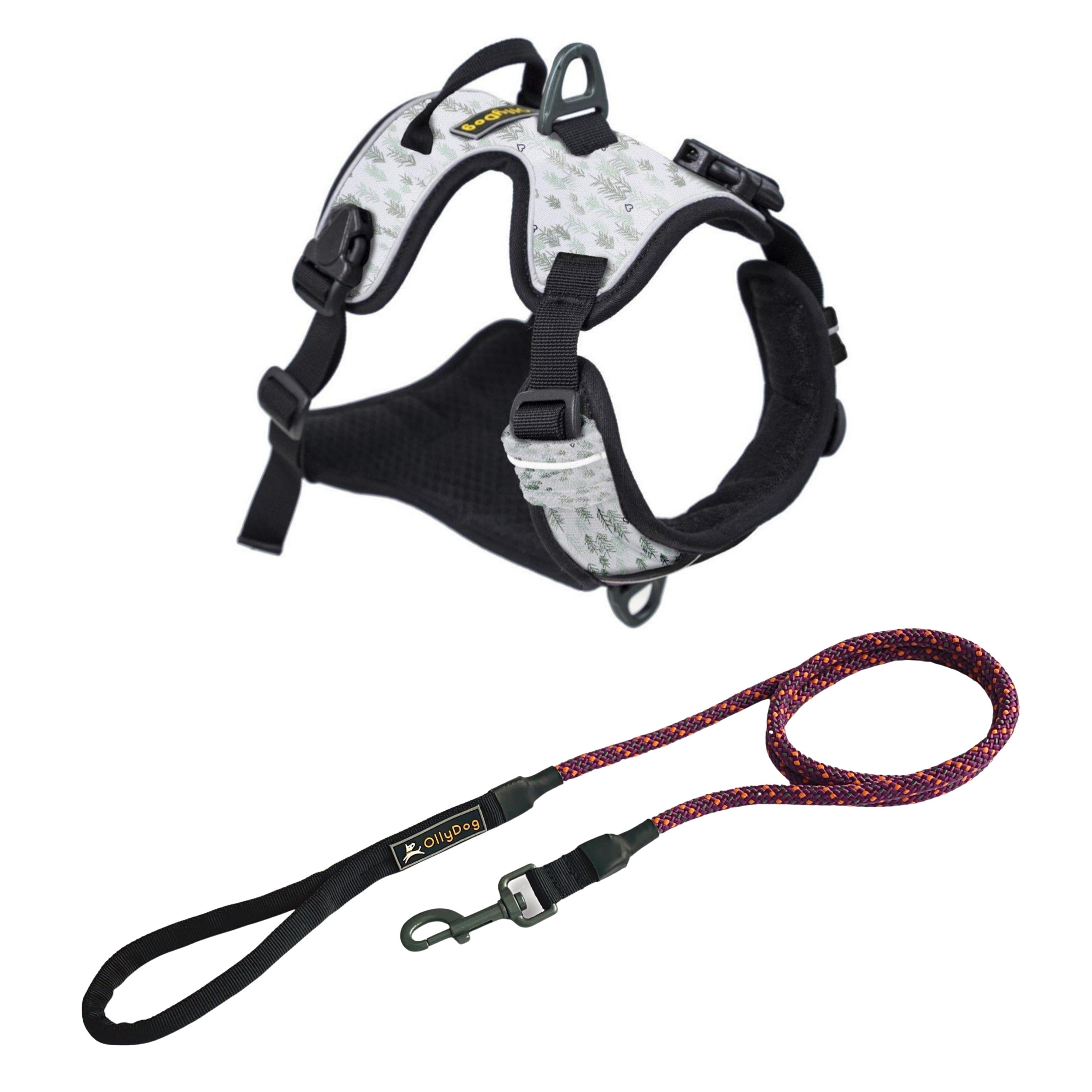 Pikes Peak Bundle