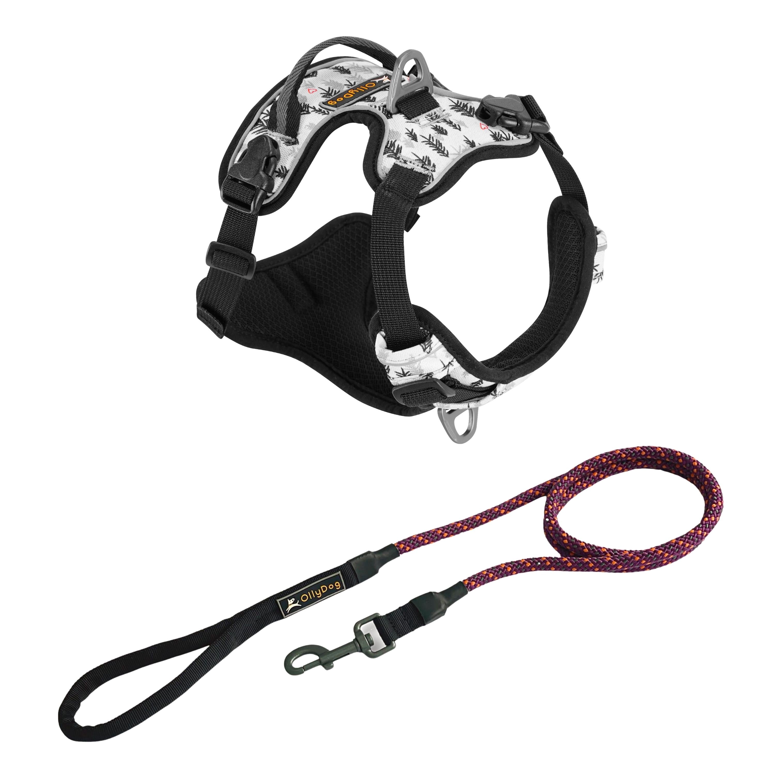Pikes Peak Bundle