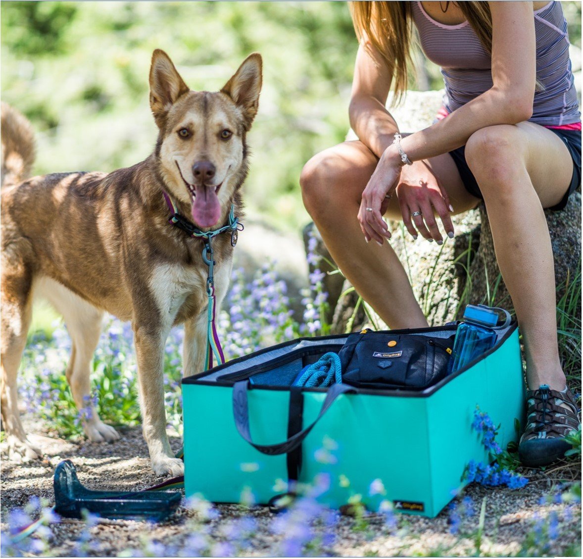 Lifestyle outdoor shot of a medium-sized brown dog wearing the OllyDog Flagstaff Collar in magenta color alongside its owner sitting on a rock near a teal storage box and wildflowers. #color_magenta