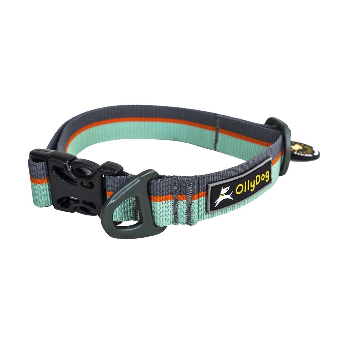 Buckle view of the OllyDog Flagstaff Collar in surf color, featuring the easy-to-use plastic side-release buckle, durable poly webbing, aluminum D-ring, and brand logo patch.#color_surf