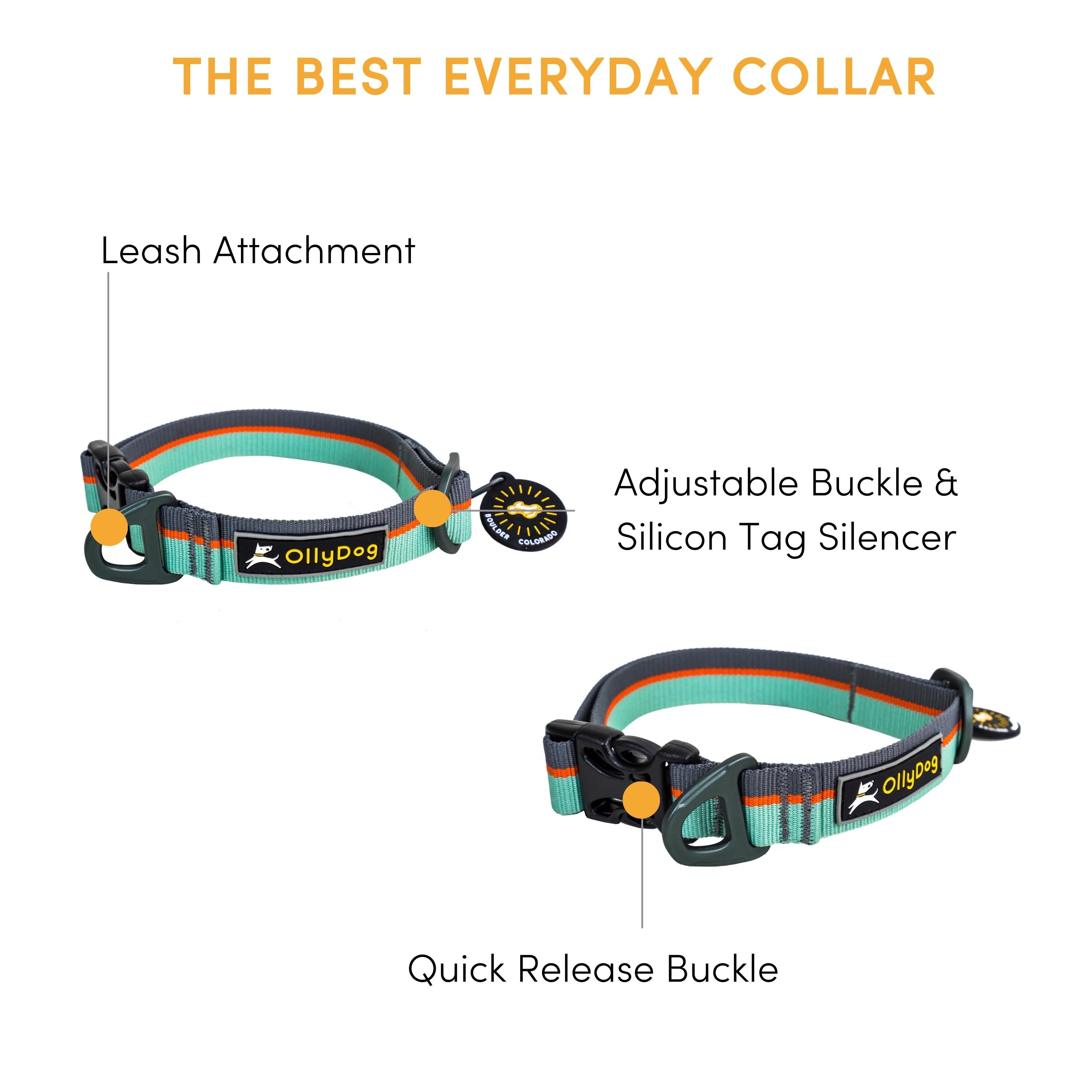 Infographic banner detailing features of the OllyDog Flagstaff Collar in surf color, highlighting the leash attachment, aluminum D-ring, adjustable buckle, silicon tag silencer, and quick-release plastic buckle.#color_surf