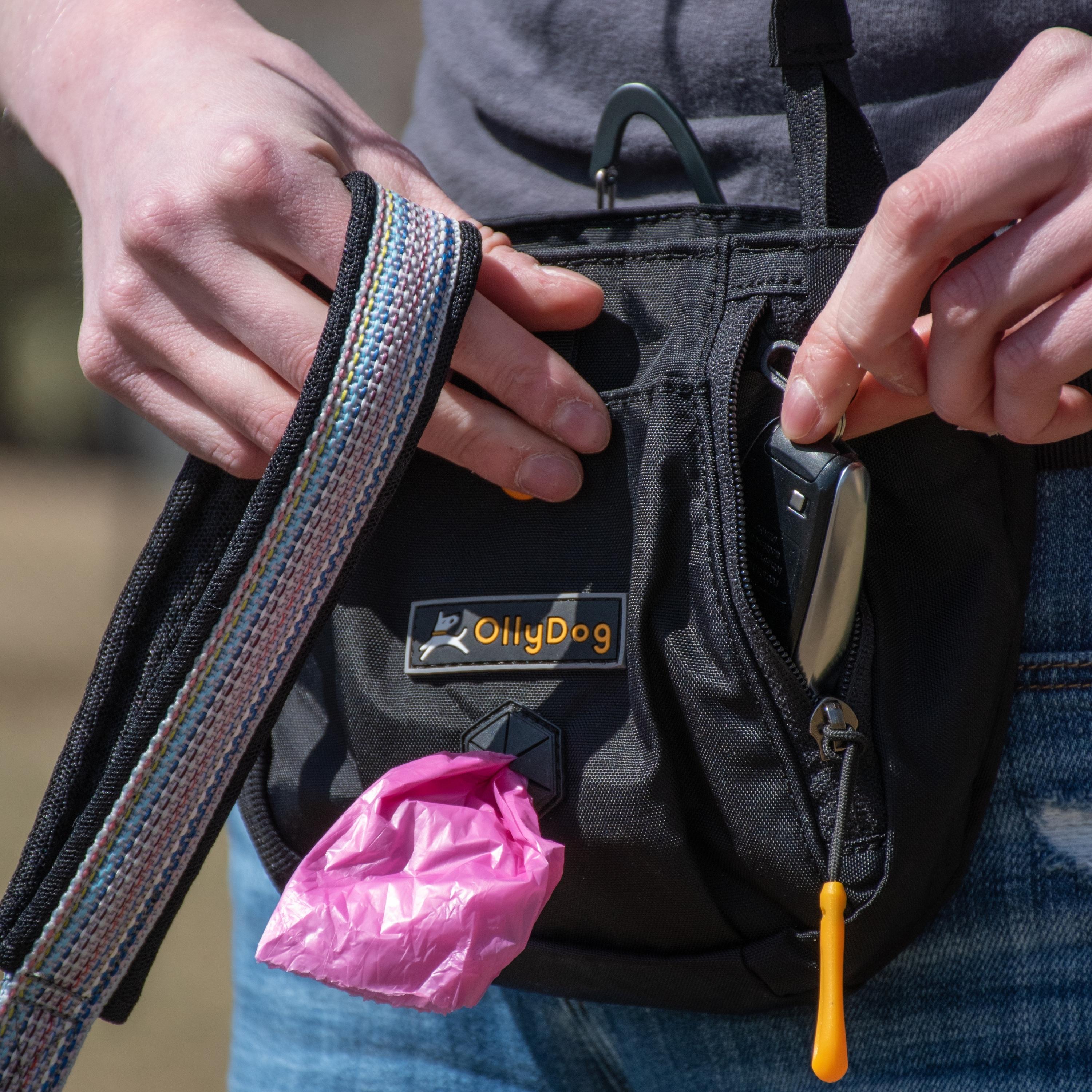 A person wearing OllyDog’s Backcountry Day Bag in Raven, a dog walking waist pack perfect for hiking with dogs. This essential piece of dog hiking gear is designed for comfort and functionality on dog friendly trails. #color_raven