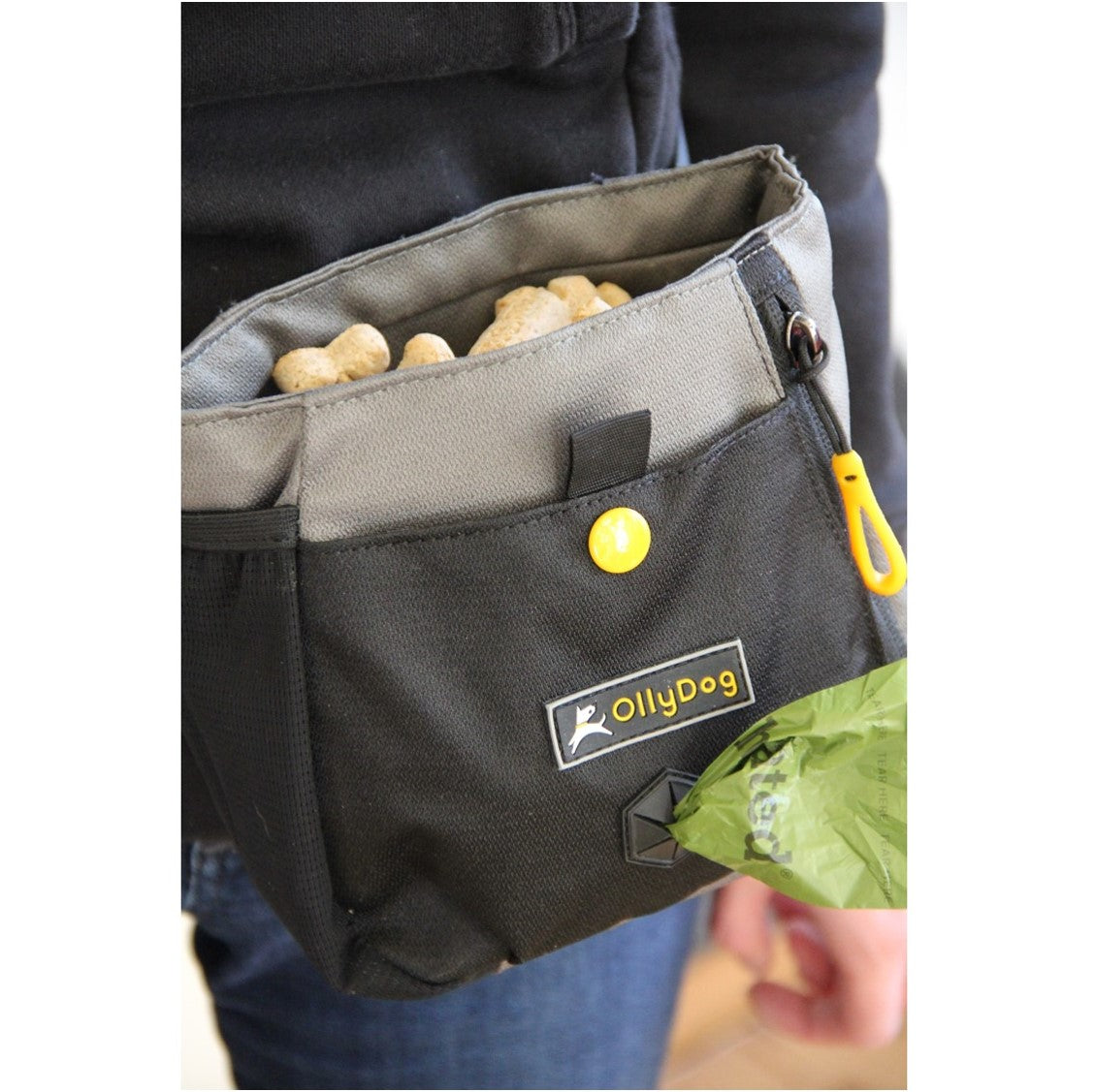 A person wearing OllyDog’s Backcountry Day Bag in Champagne, a dog walking waist pack perfect for hiking with dogs. This essential piece of dog hiking gear is designed for comfort and functionality on dog friendly trails. #color_champagne