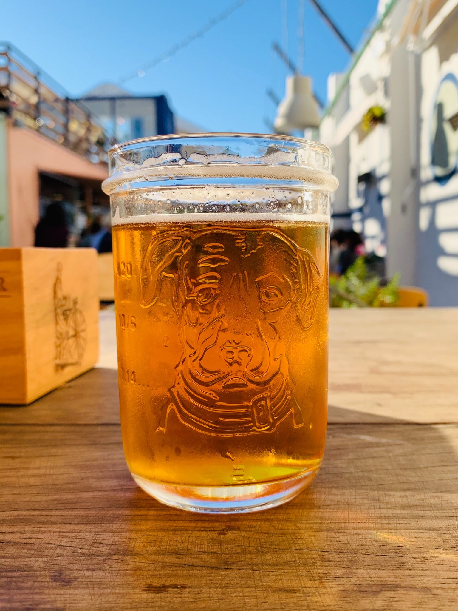 A glass of beer sits on an outdoor table, a dog's face is etched into the glass.